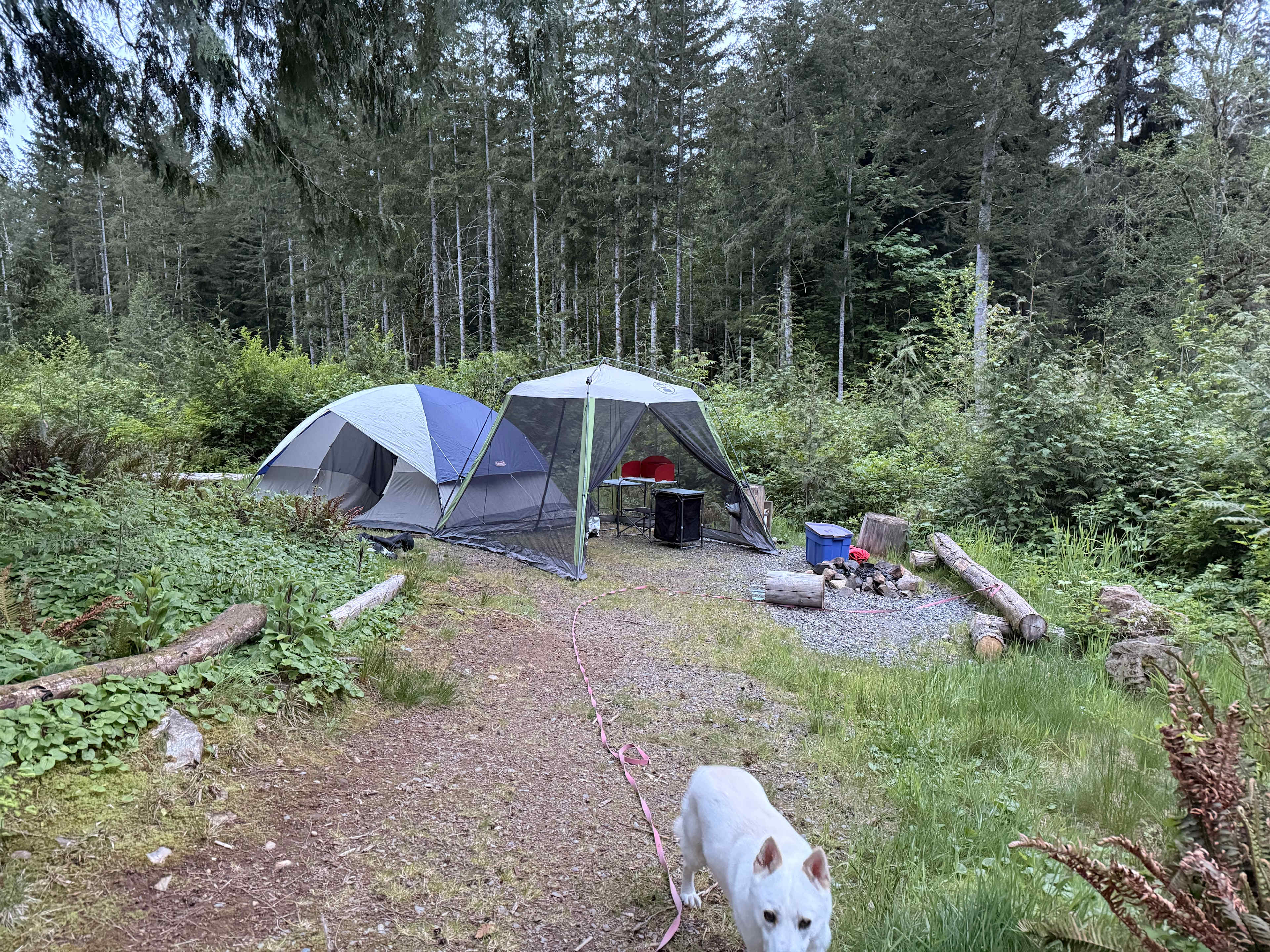 Remember your bug spray. We were happy we packed our netted camp kitchen.