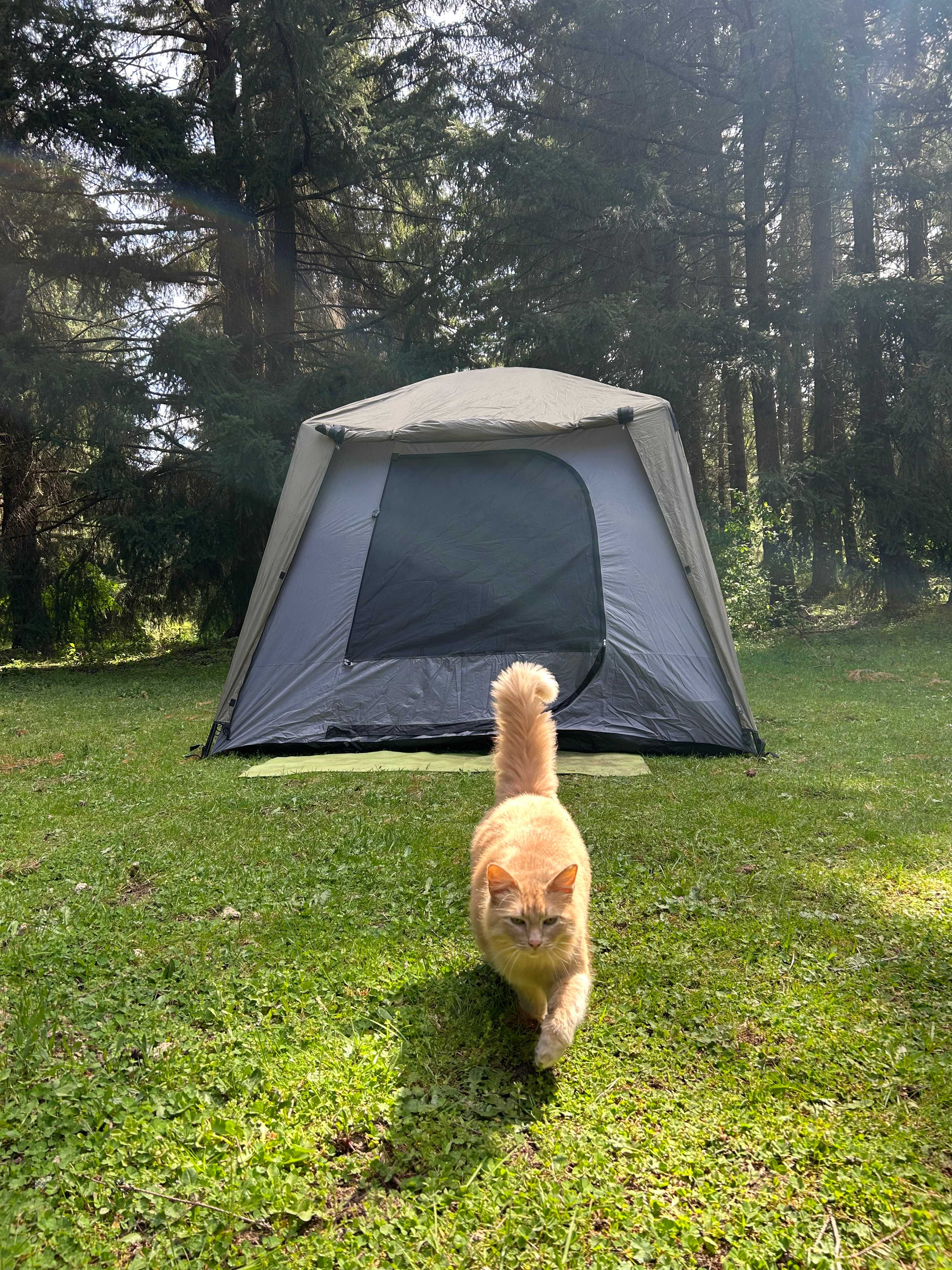 Country Refuge Close to City