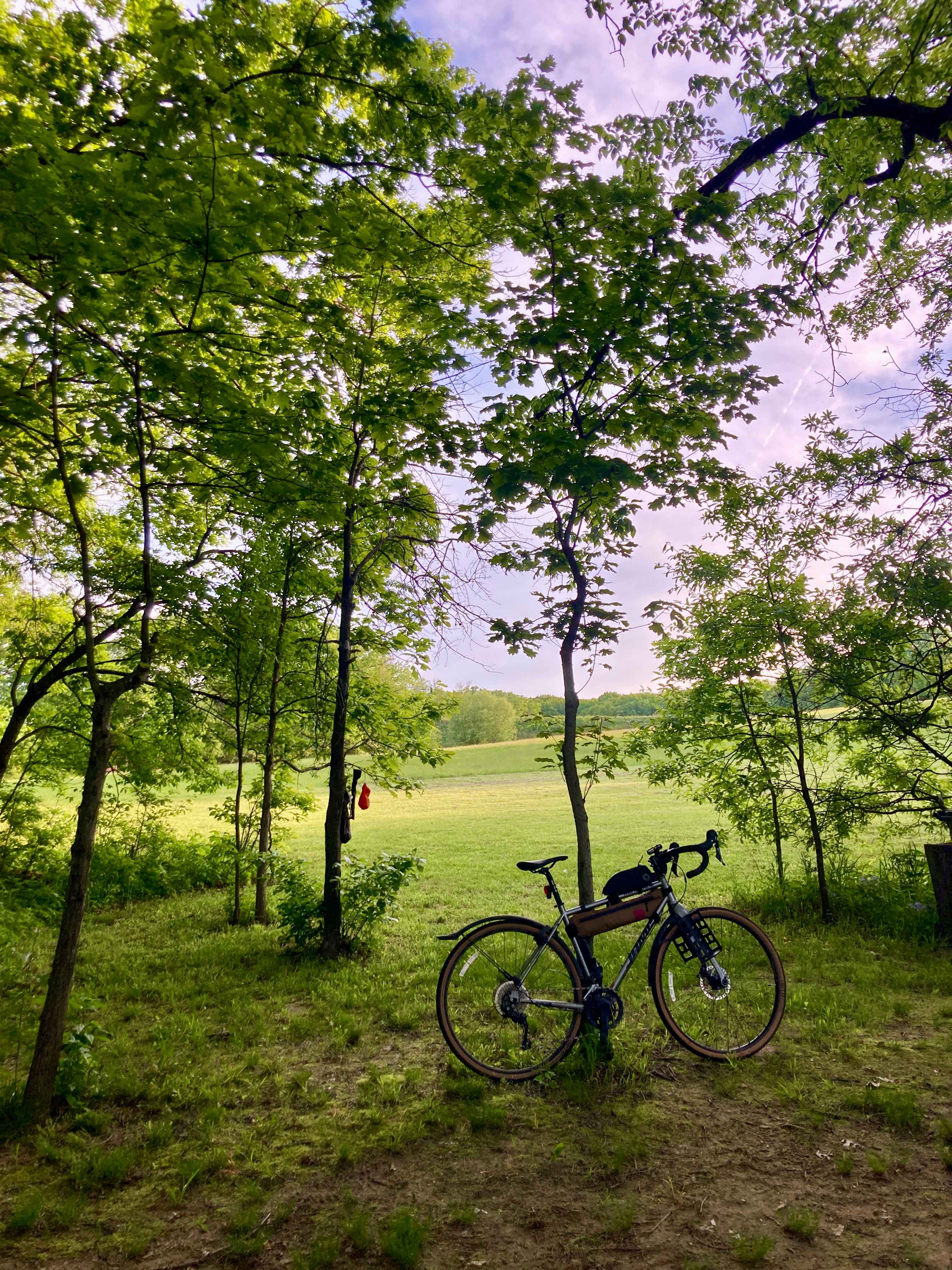 PeaceTree Farms
