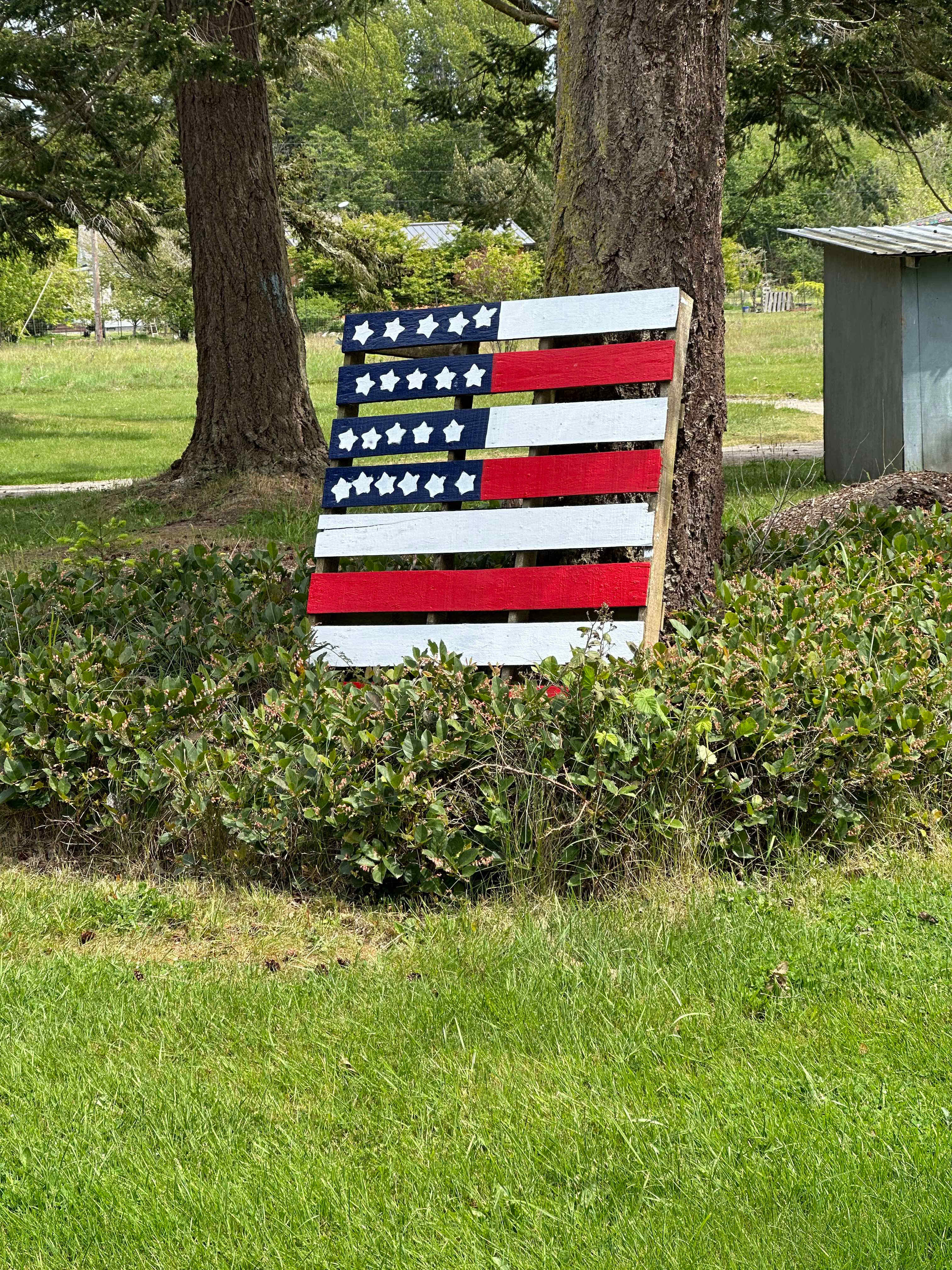 Island Orchard