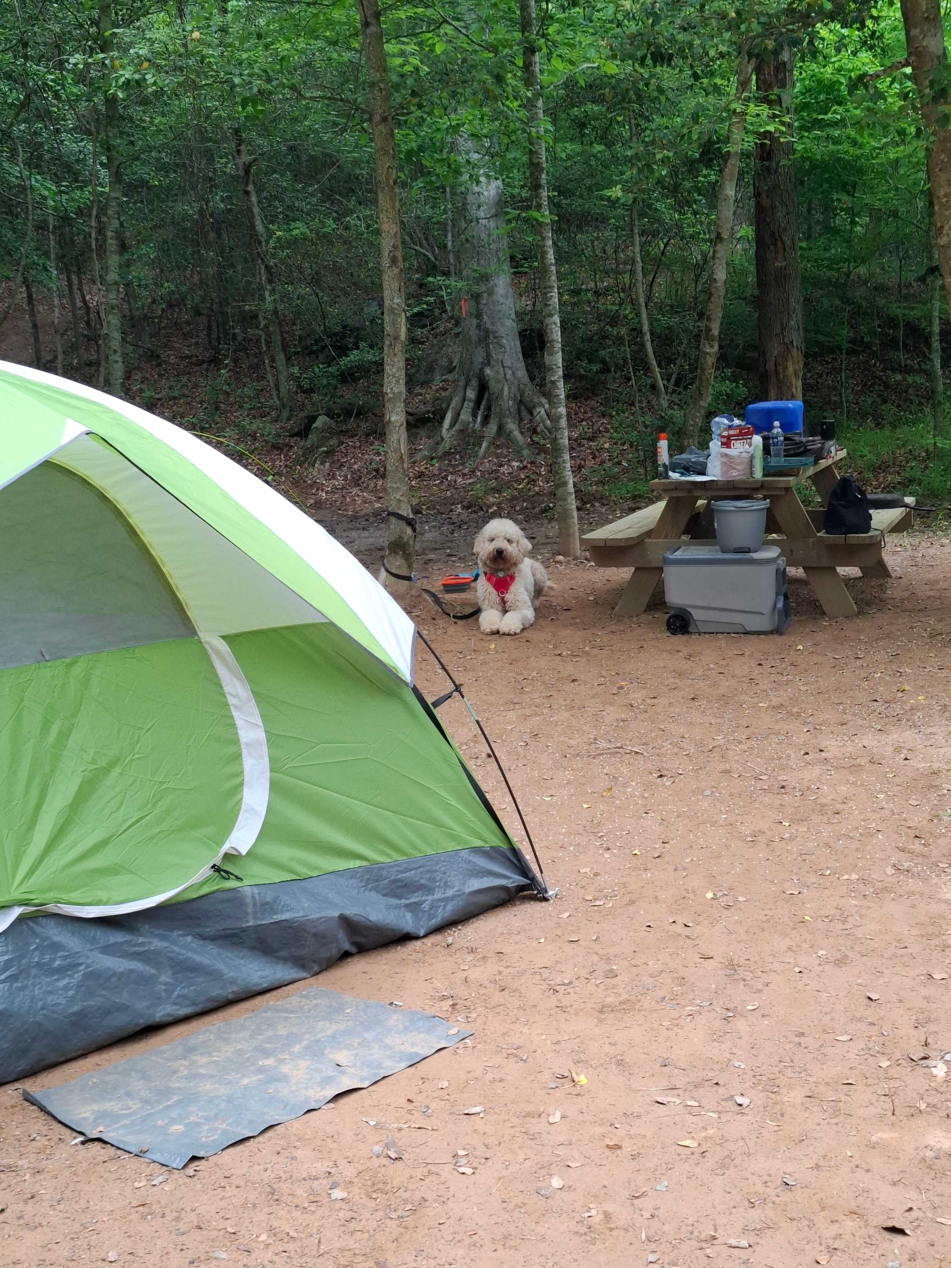 Carl’s Campsites - Riverside