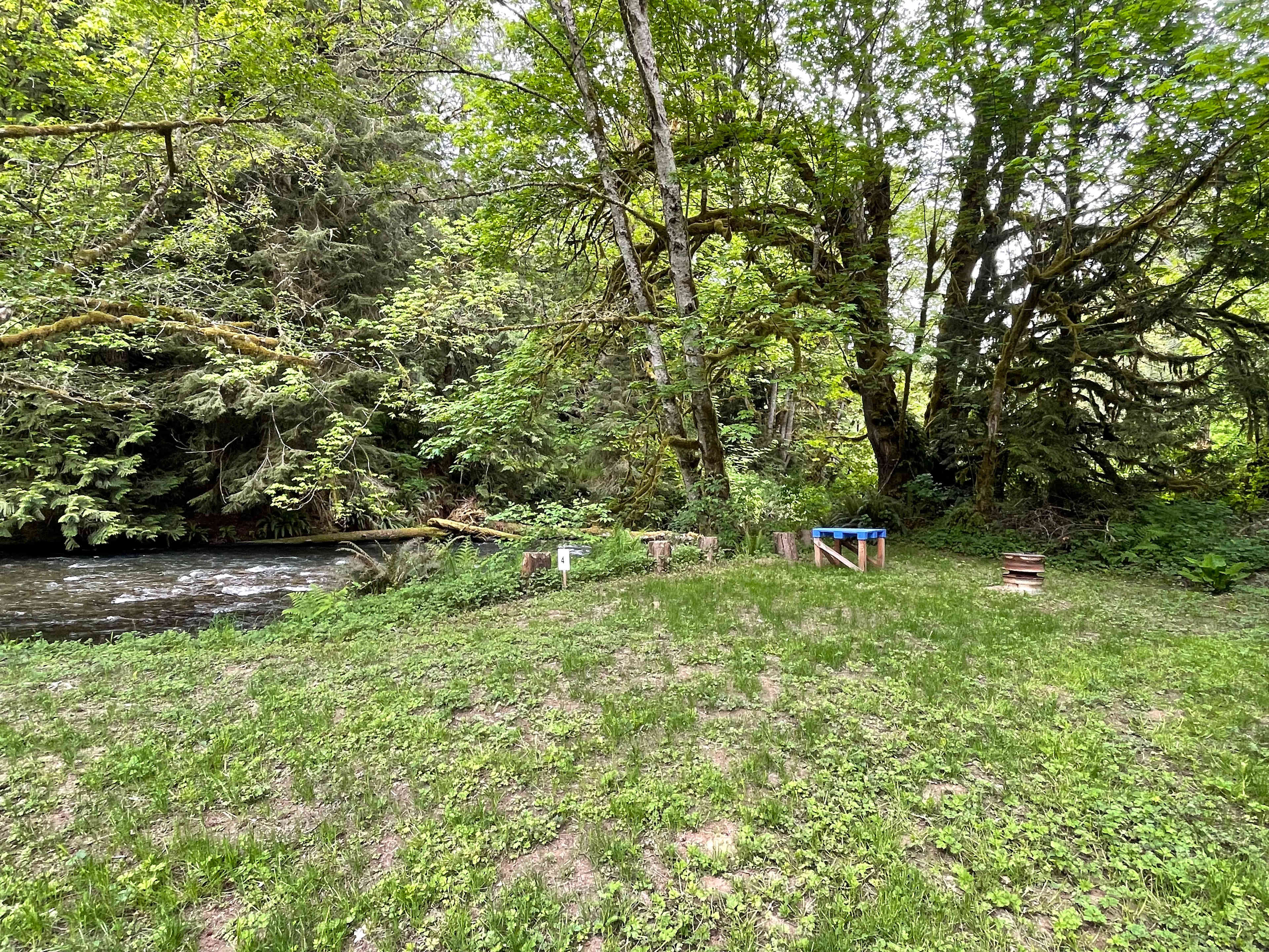 Lyre River Retreat