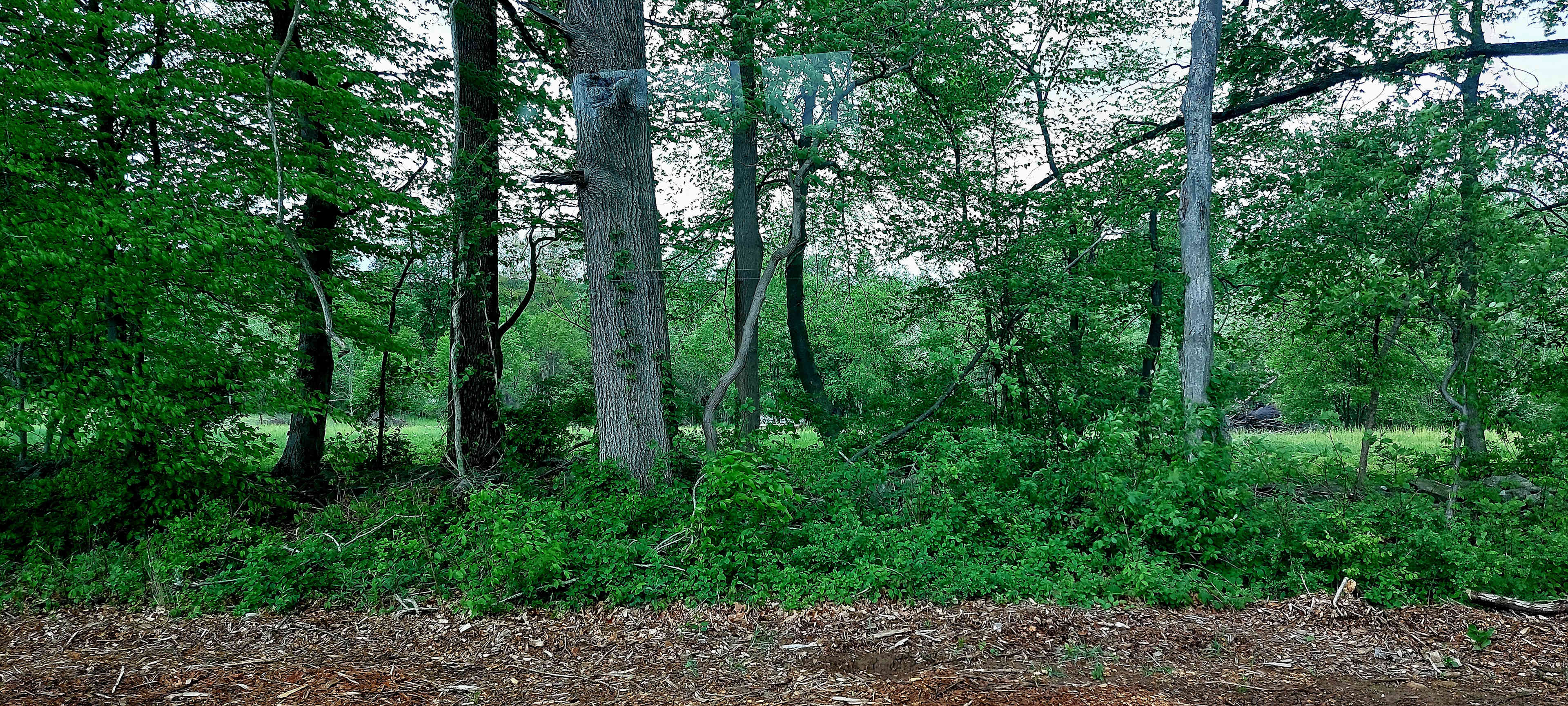 Hardscrabble Hill