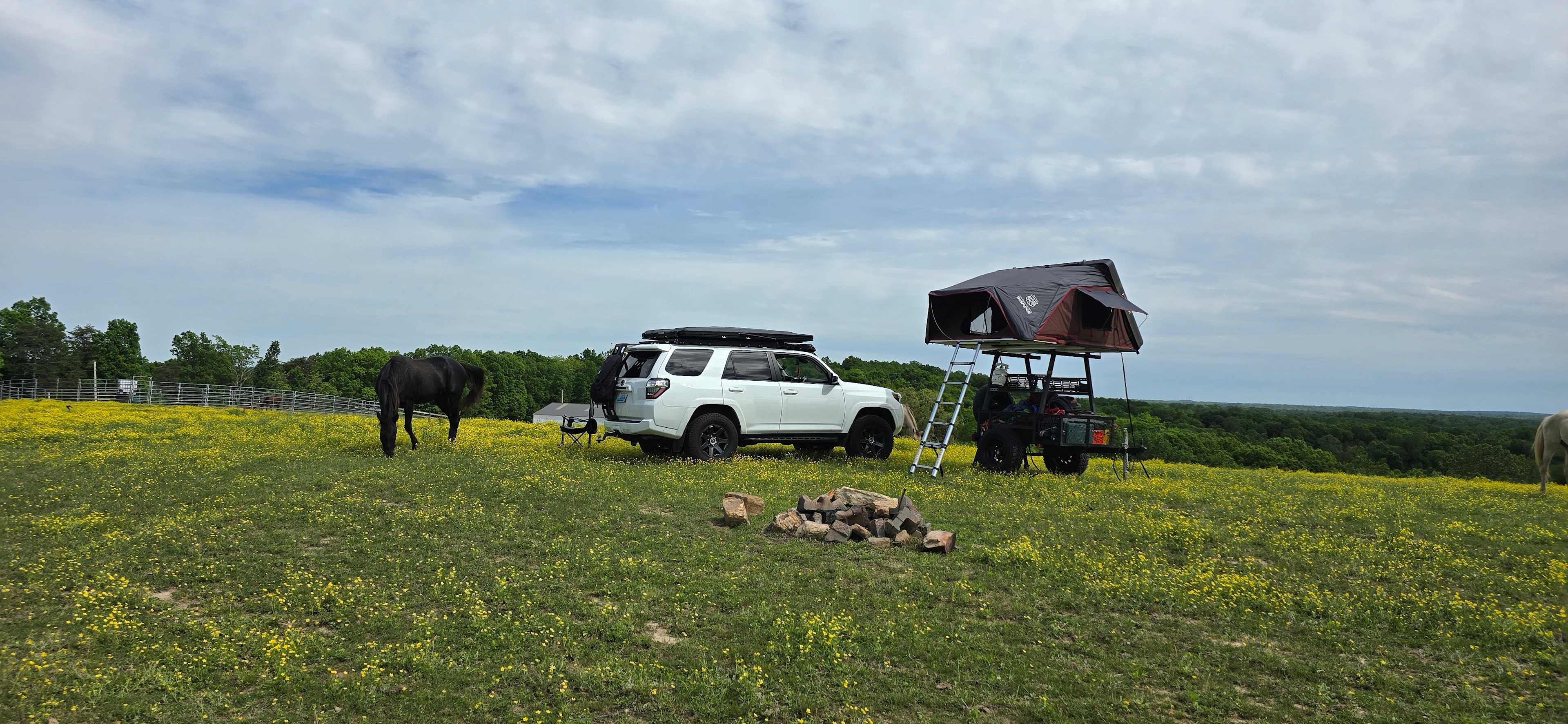 Dragonfly Ranch camping with horses
