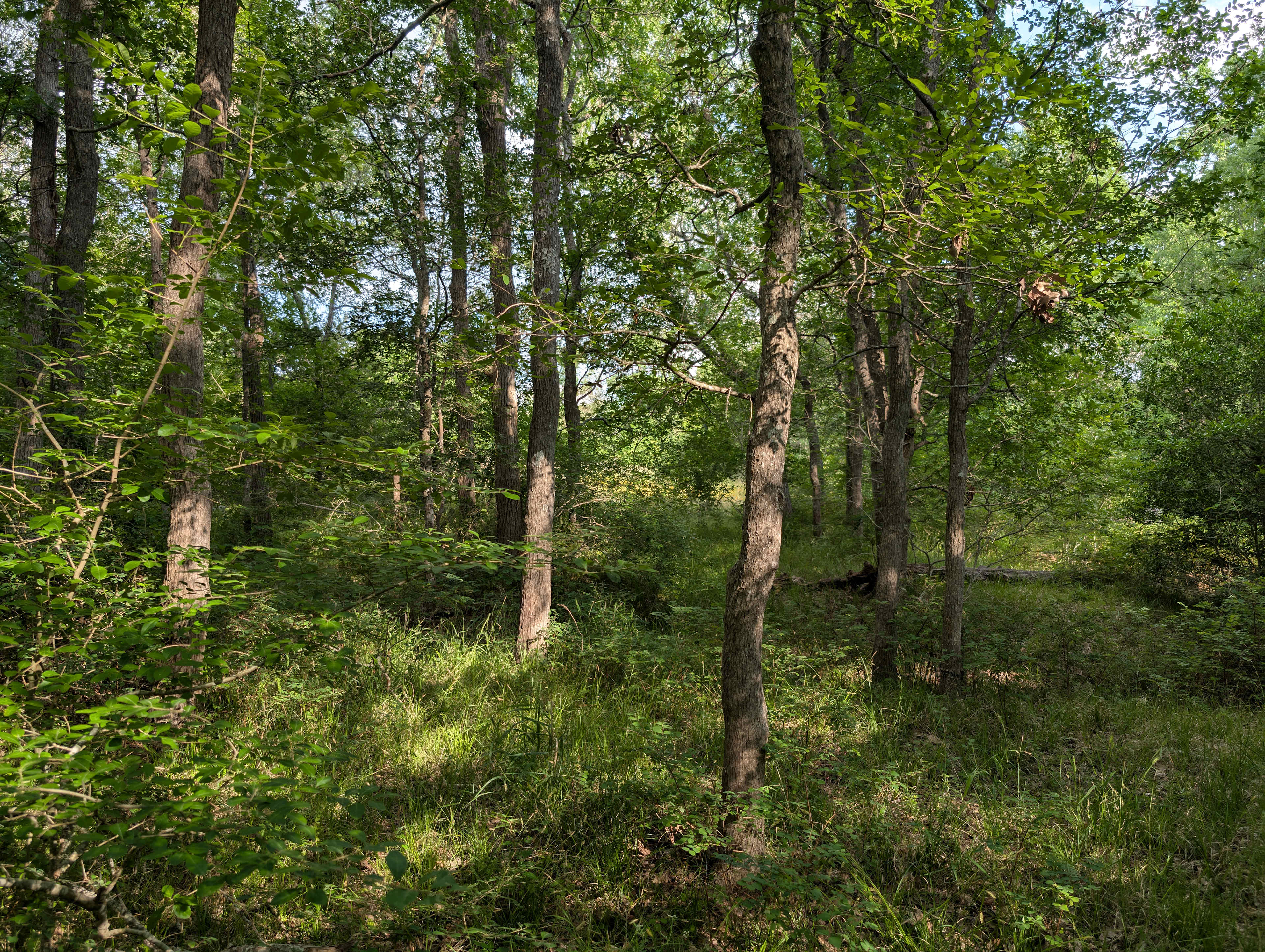 The Navasota River Ranch