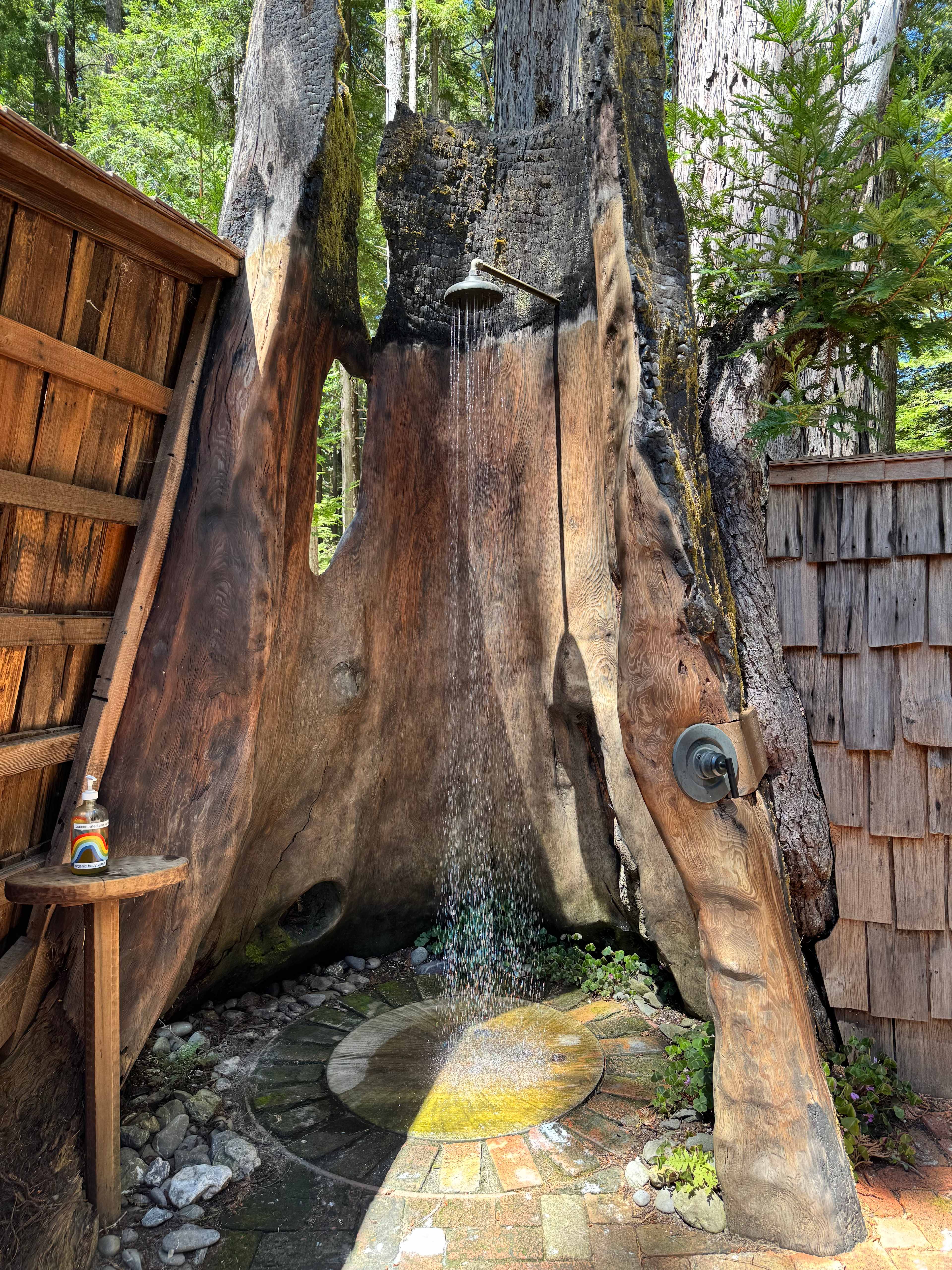 Heartwood Mendocino