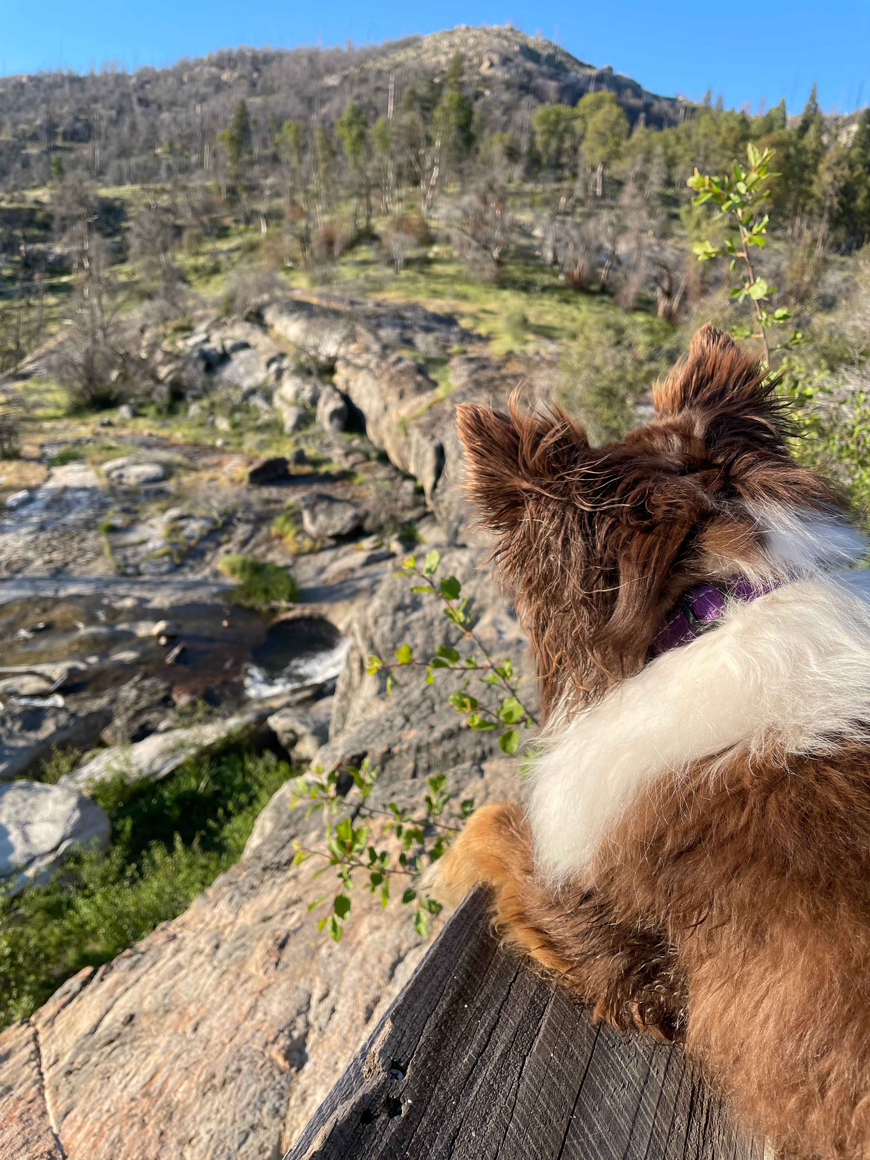 Musick Creek Falls