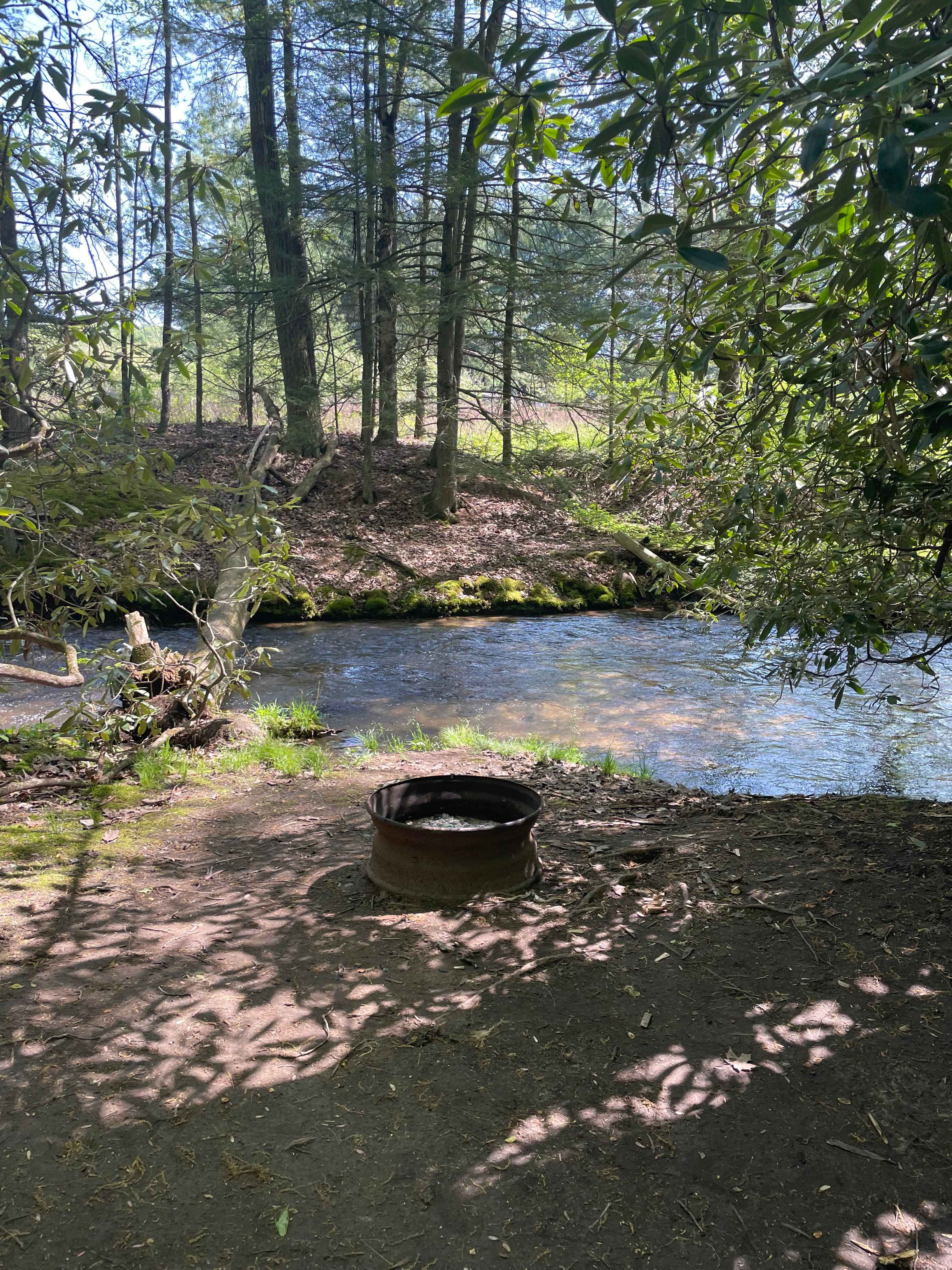 Bald Eagle Campsite