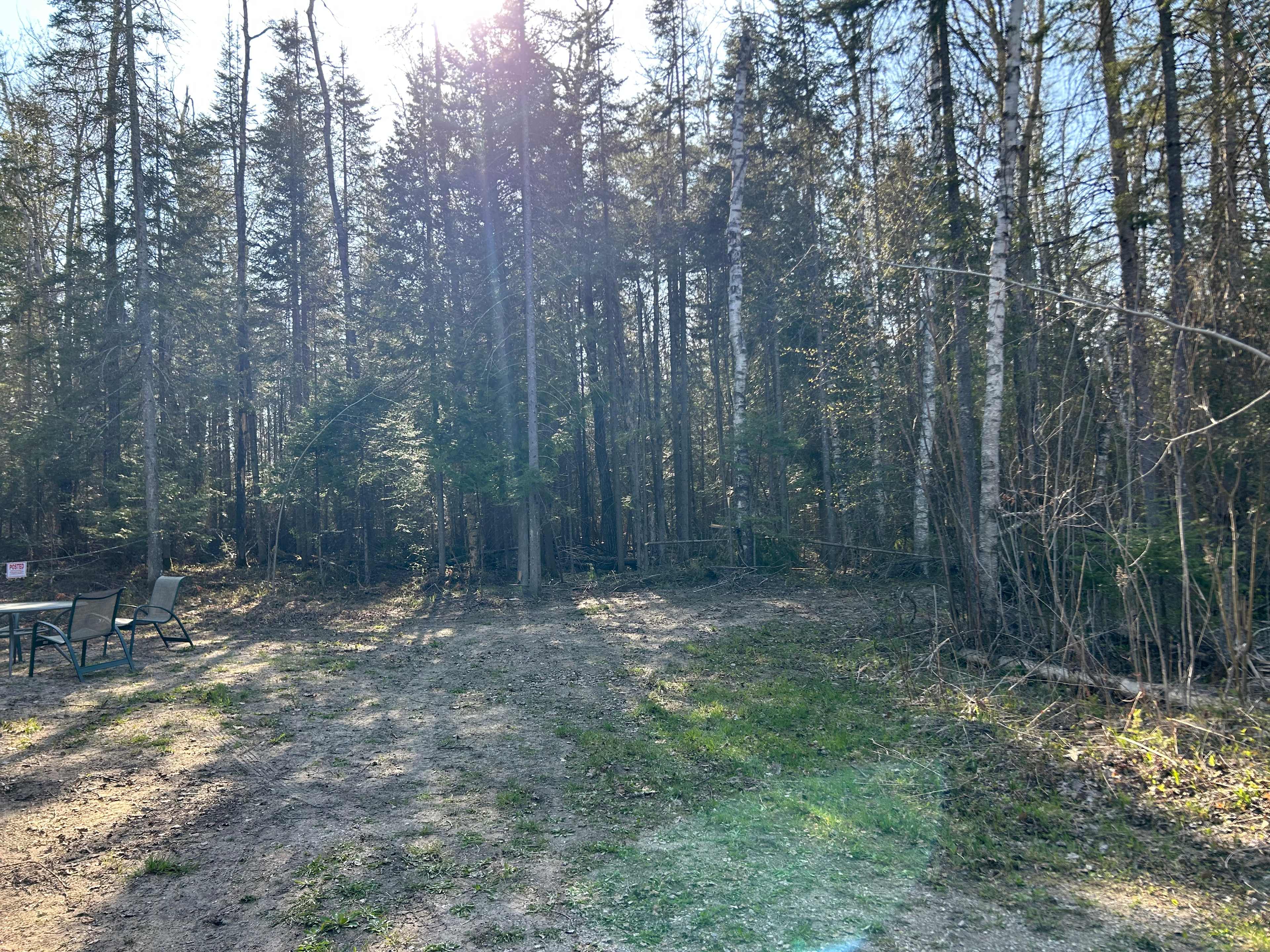 Yoder Woods