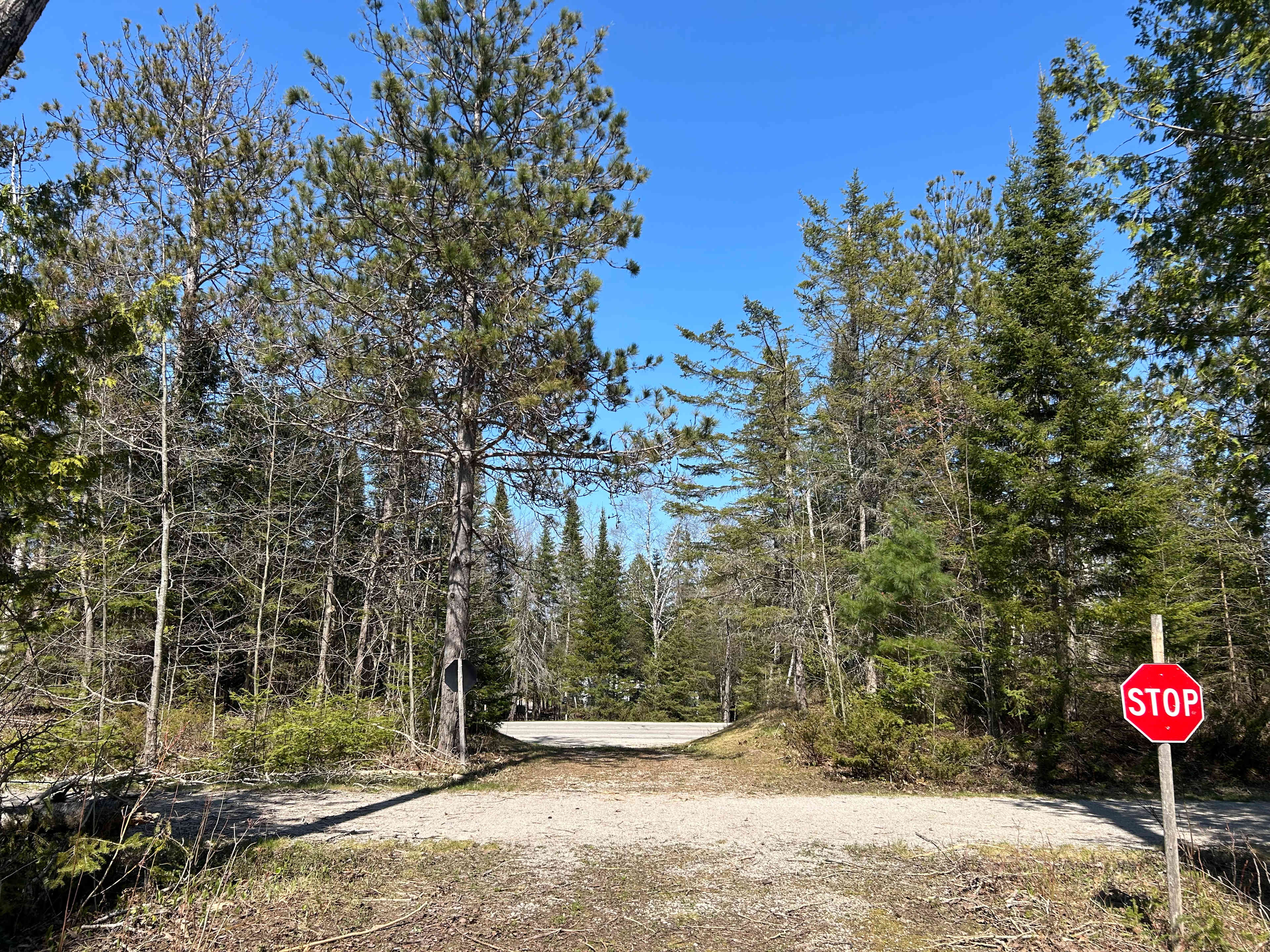 Yoder Woods