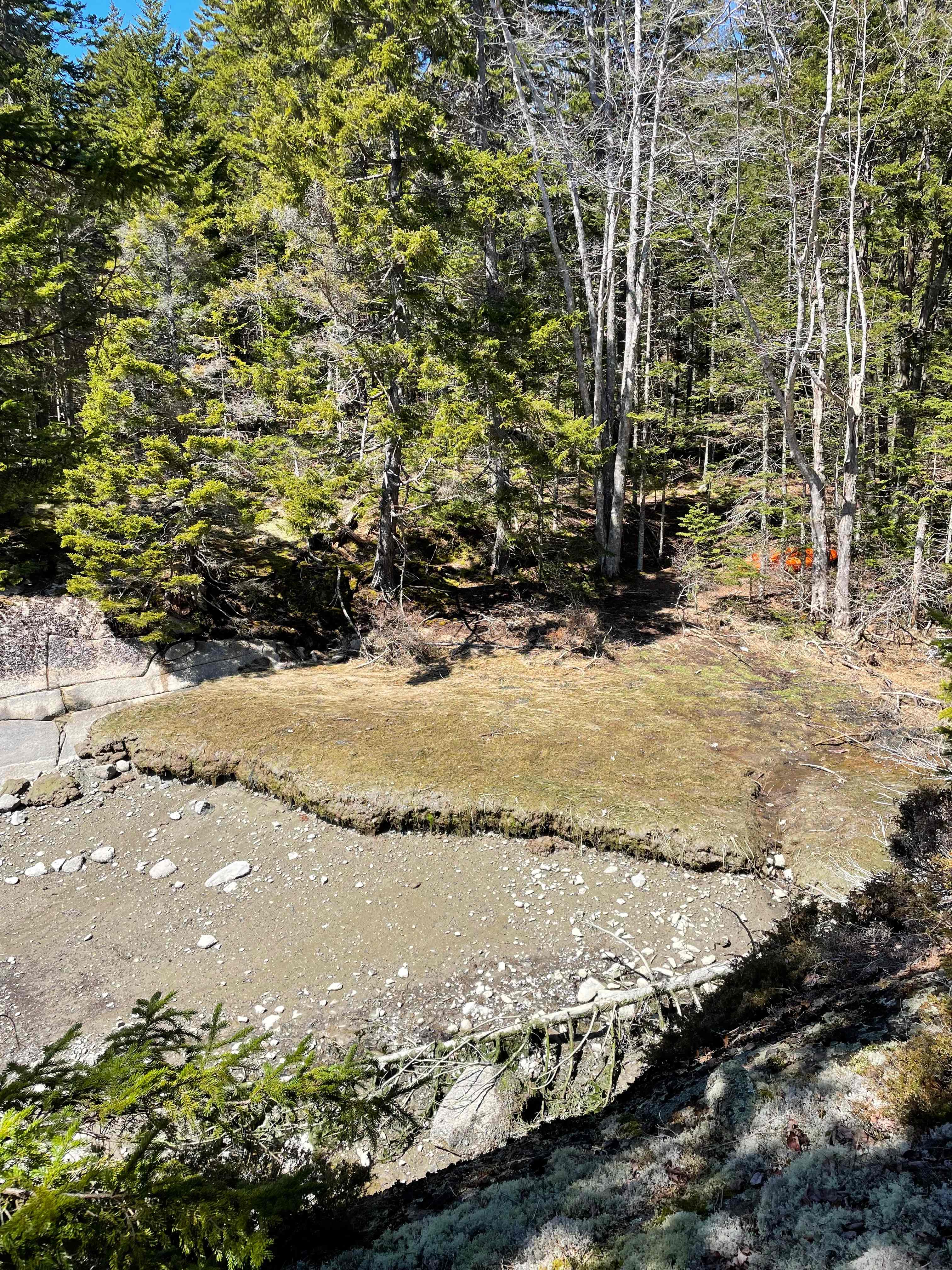 Woodhollow Cove