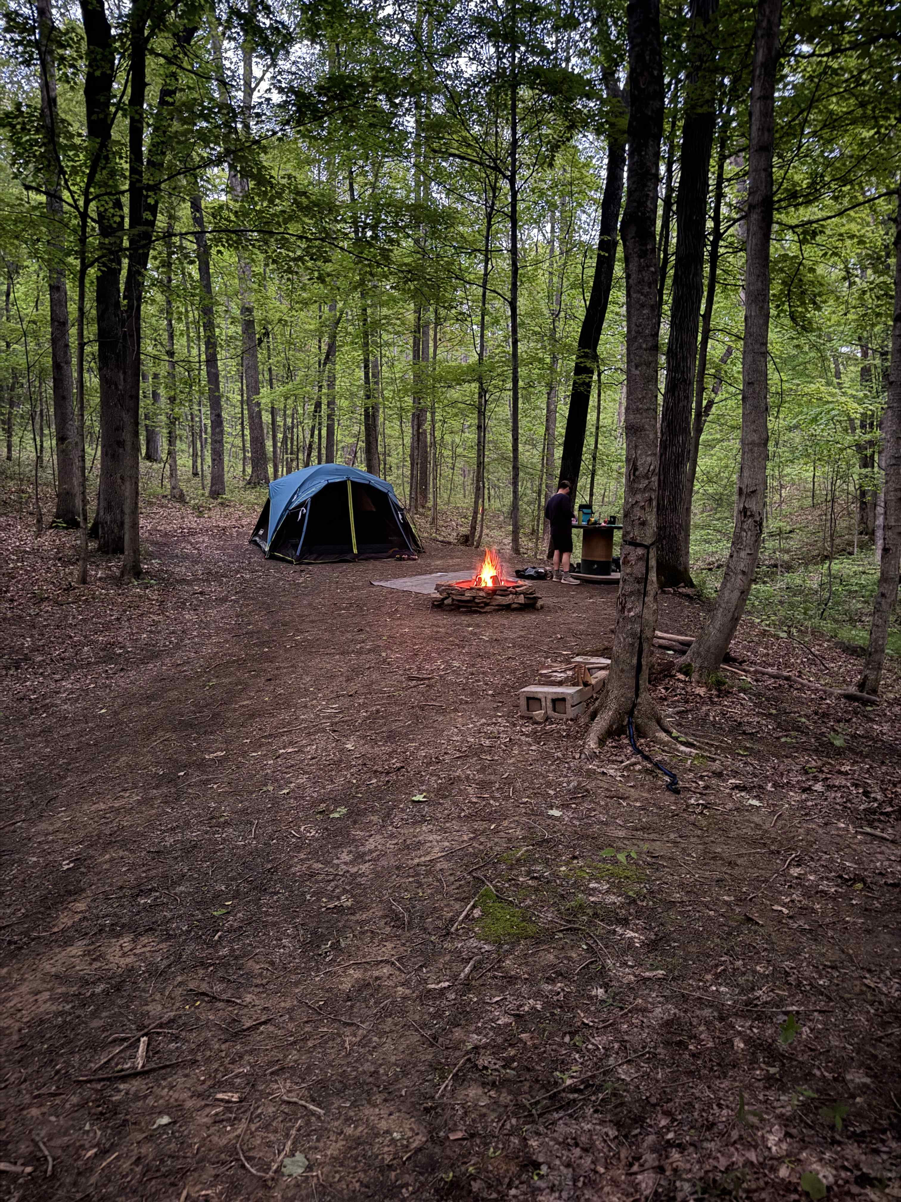 Private Forest Campsite