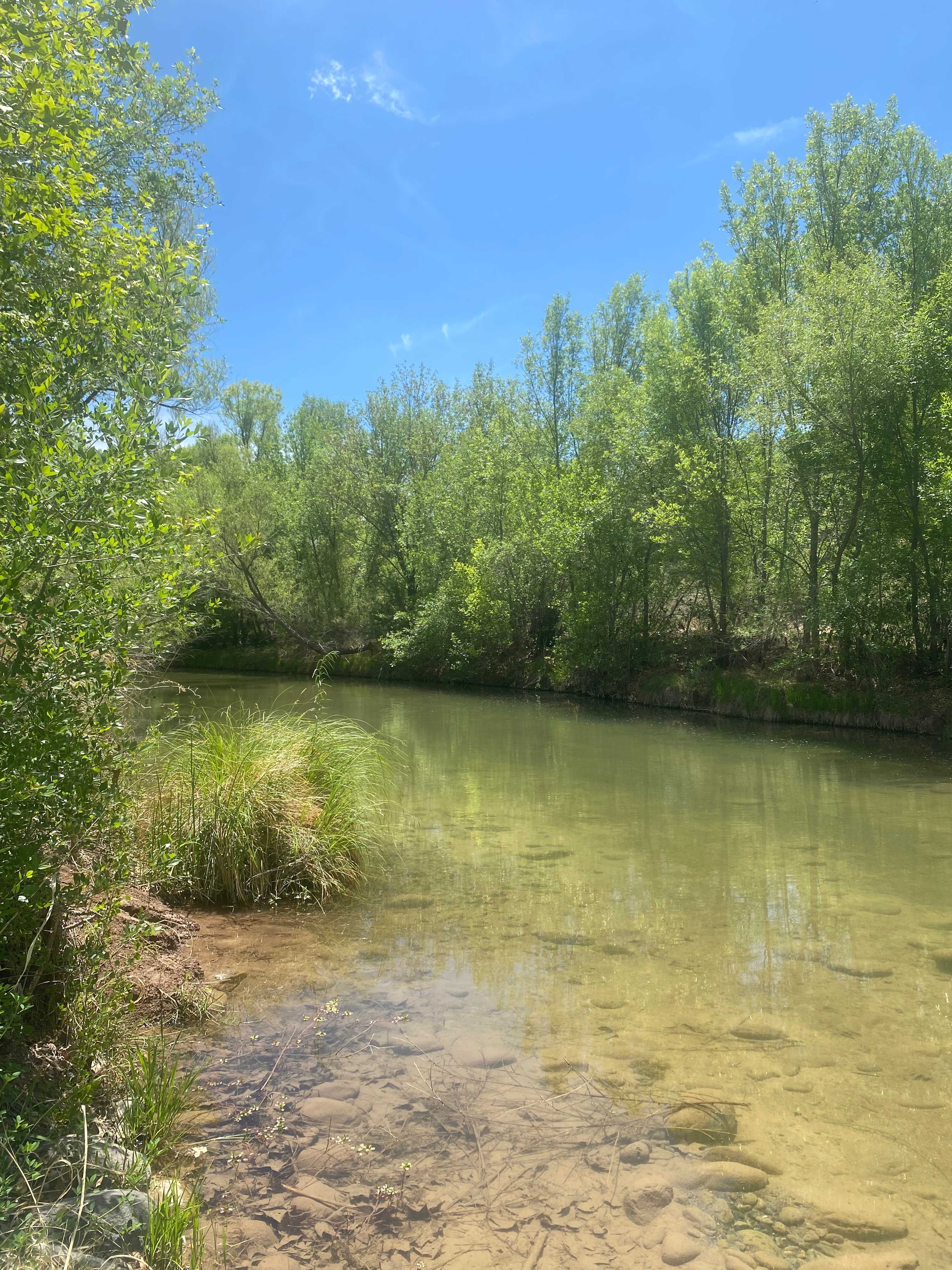 Sacred Springs