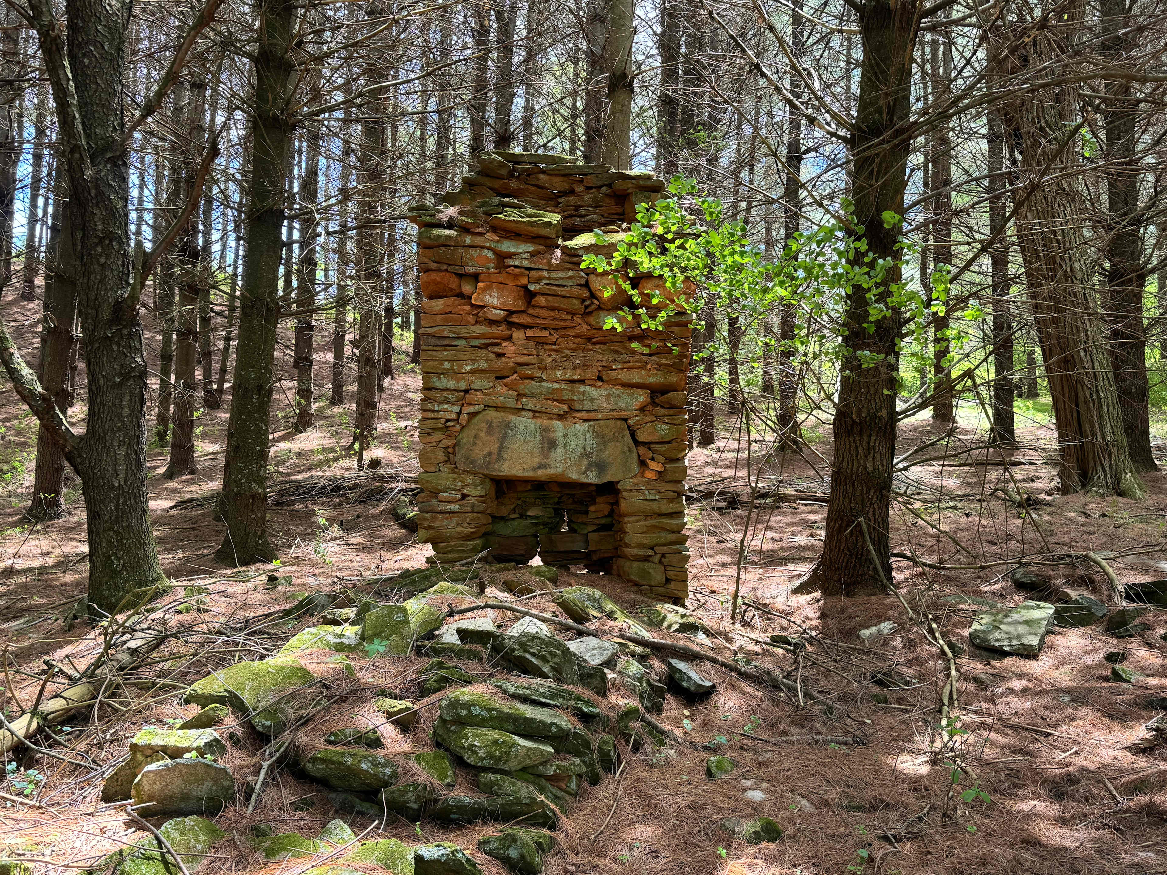 Redeemers Ridge Retreat