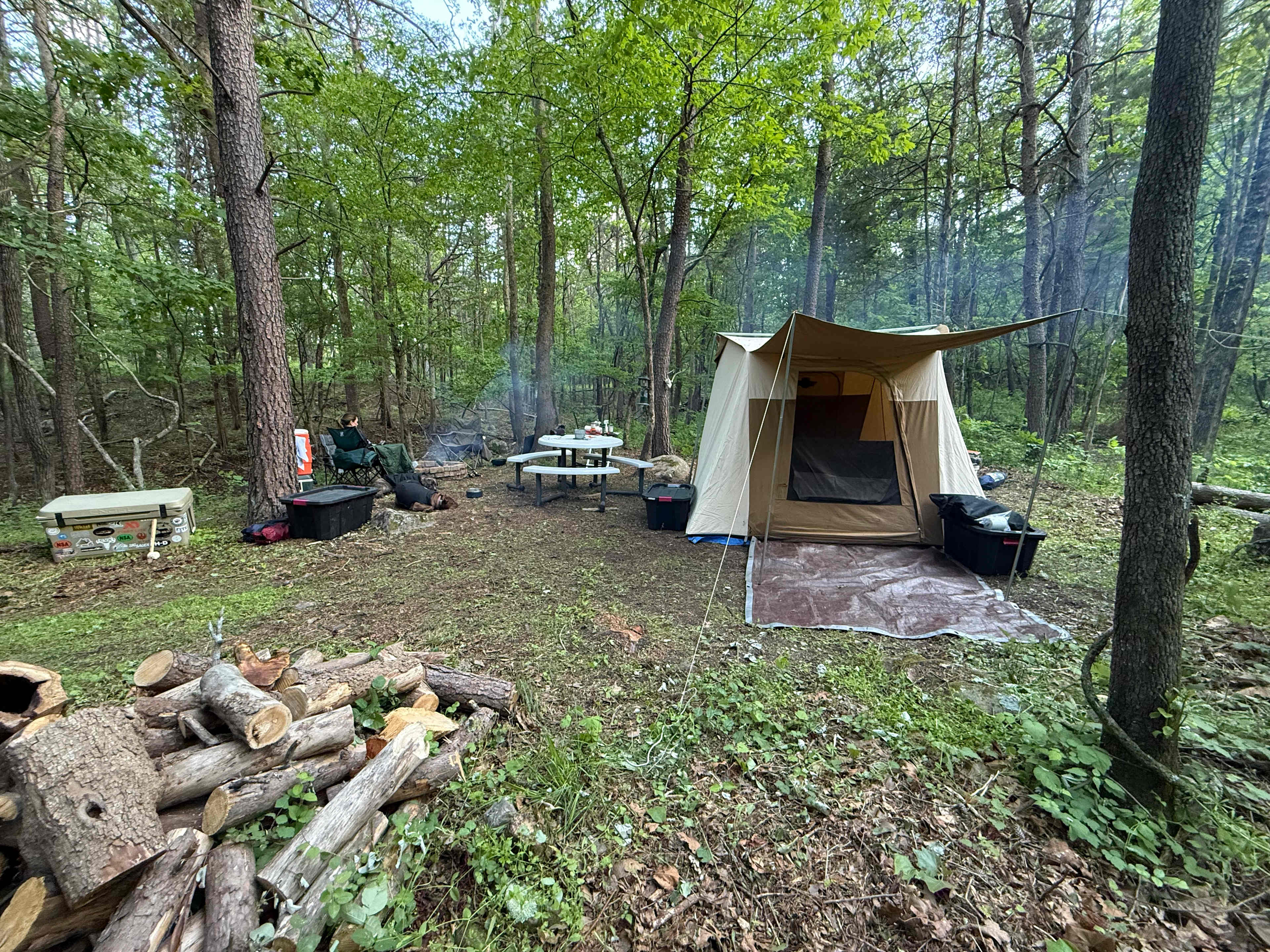 Nicholson’s Wonder Forest