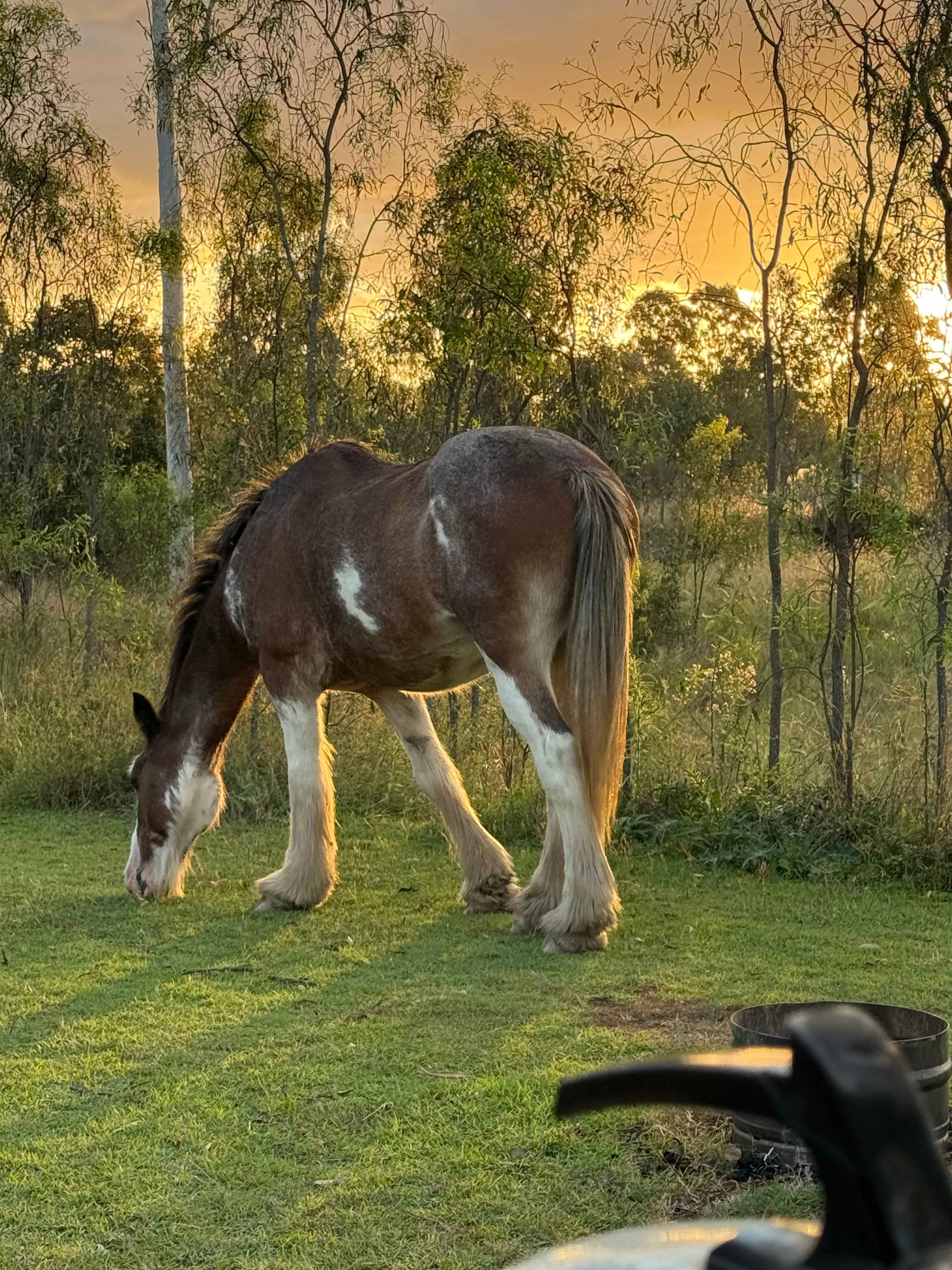 Jack's Place Toogoolawah