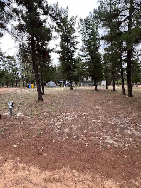 Little Eeden Farm Pine Camp