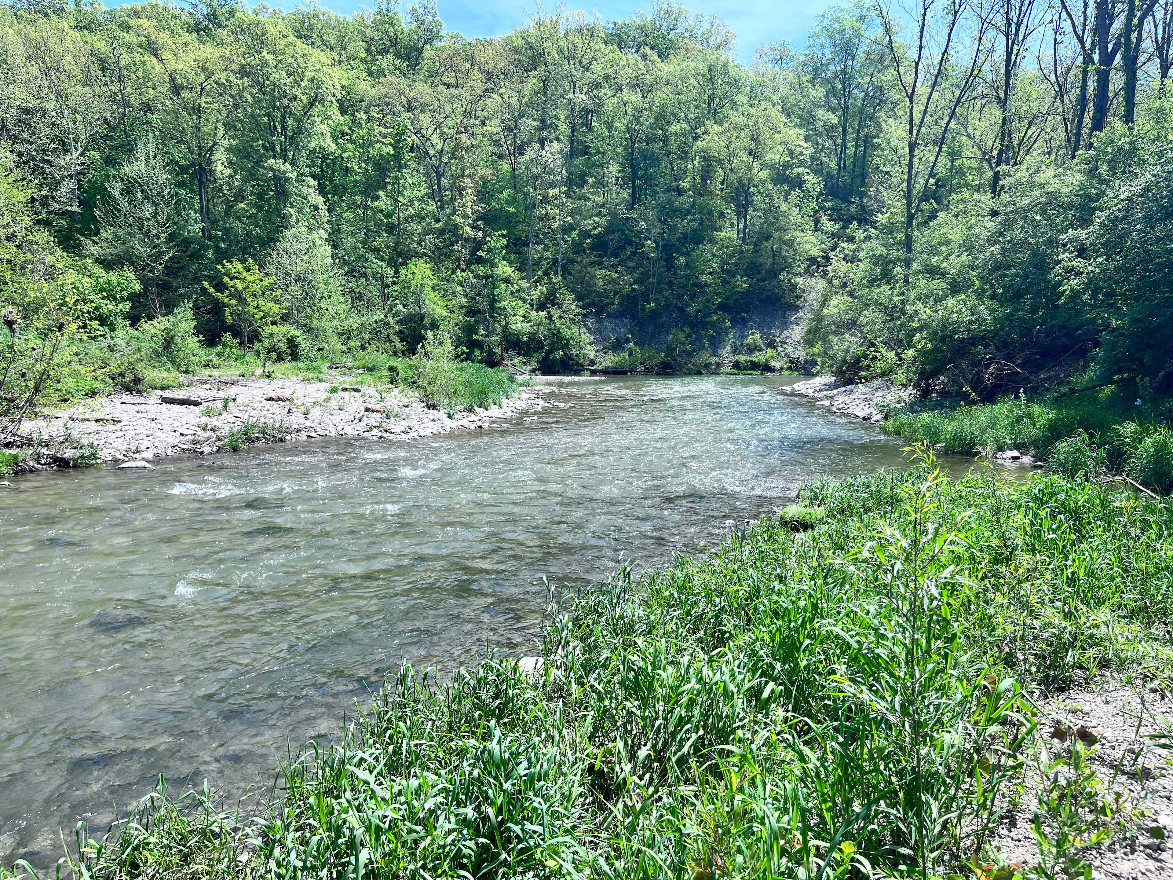 Quiet Creek Valley