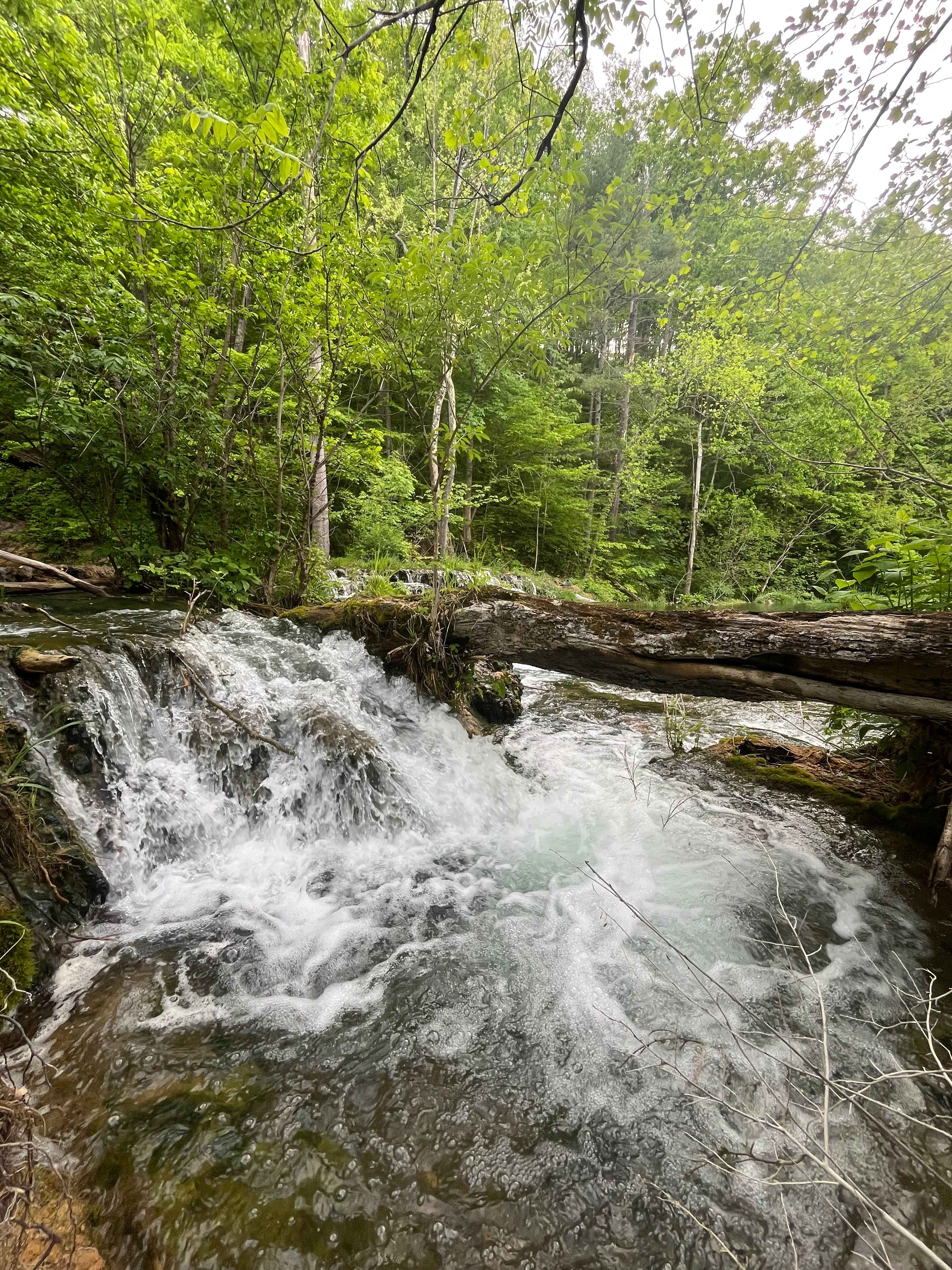 Beaverdam Falls