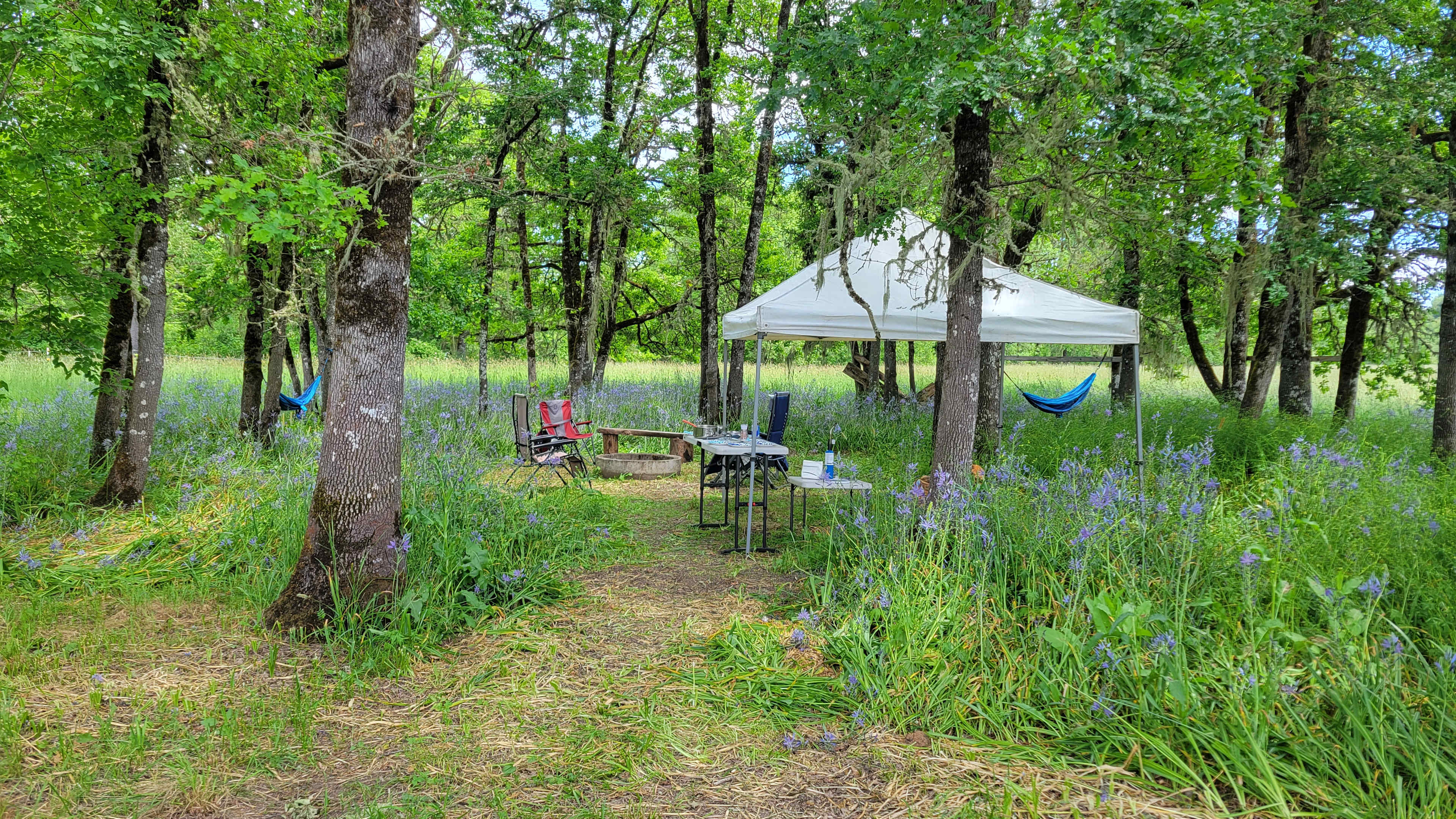 Coyote Camp