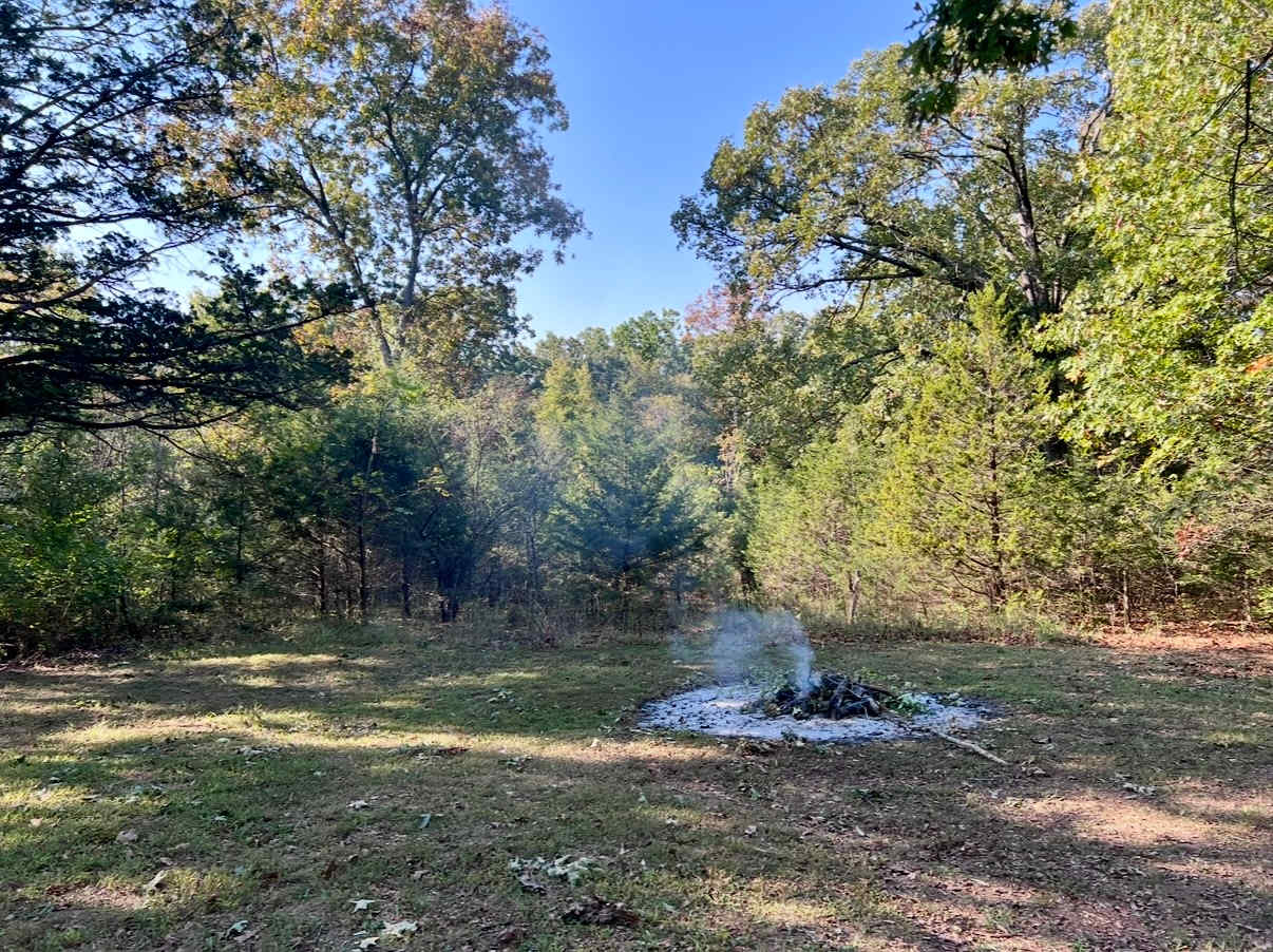 Area to the left of the driveway