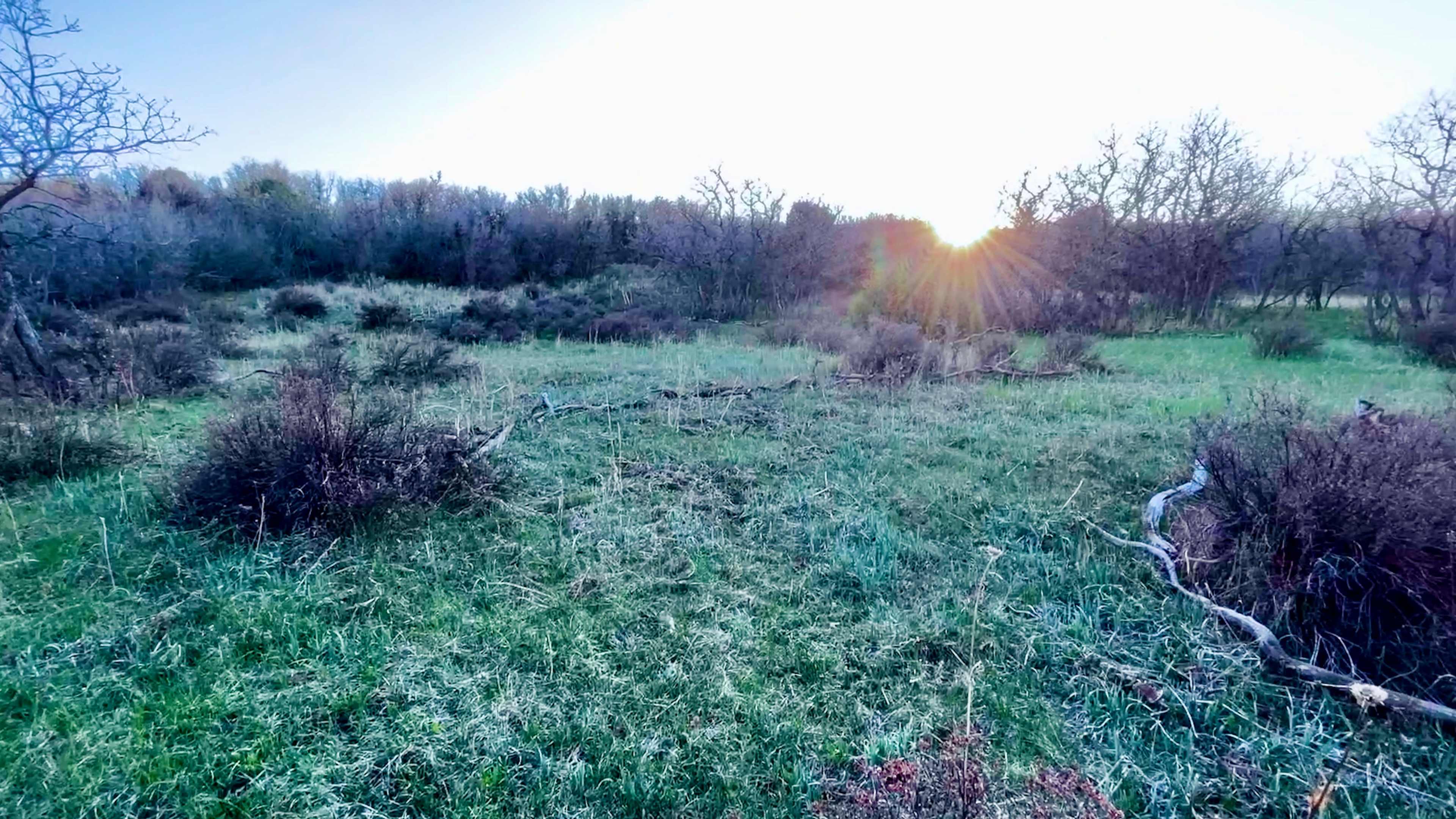 Hartwork Ranch