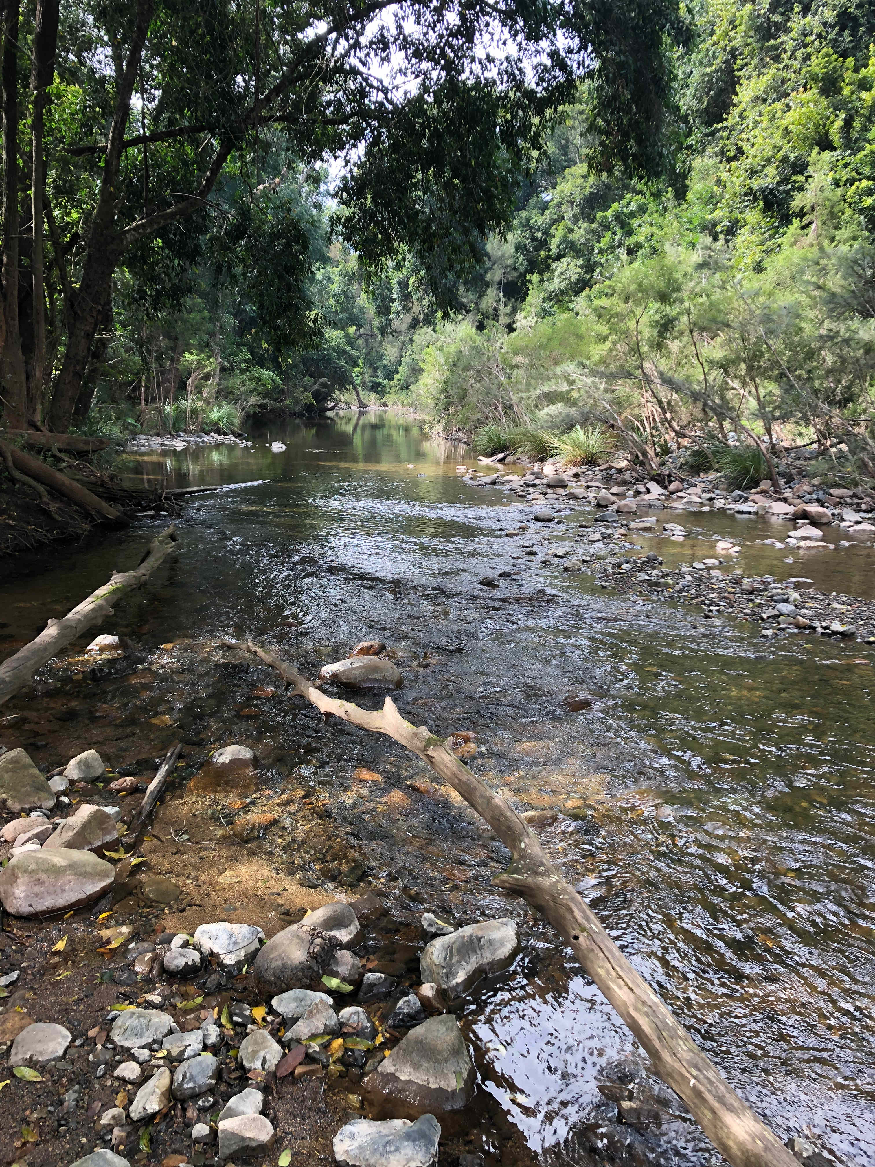 Amamoor Creek Camping n Caravanning