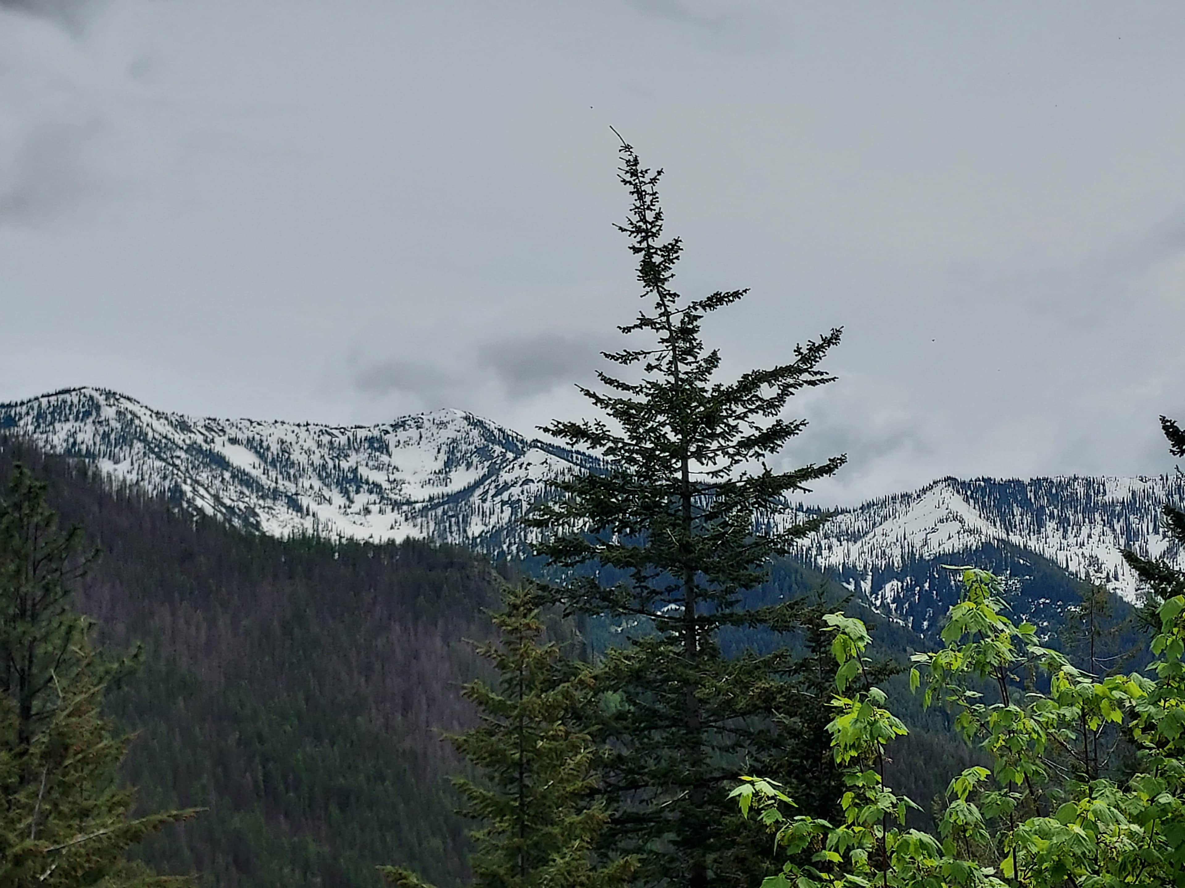 Maverick Mountain Home