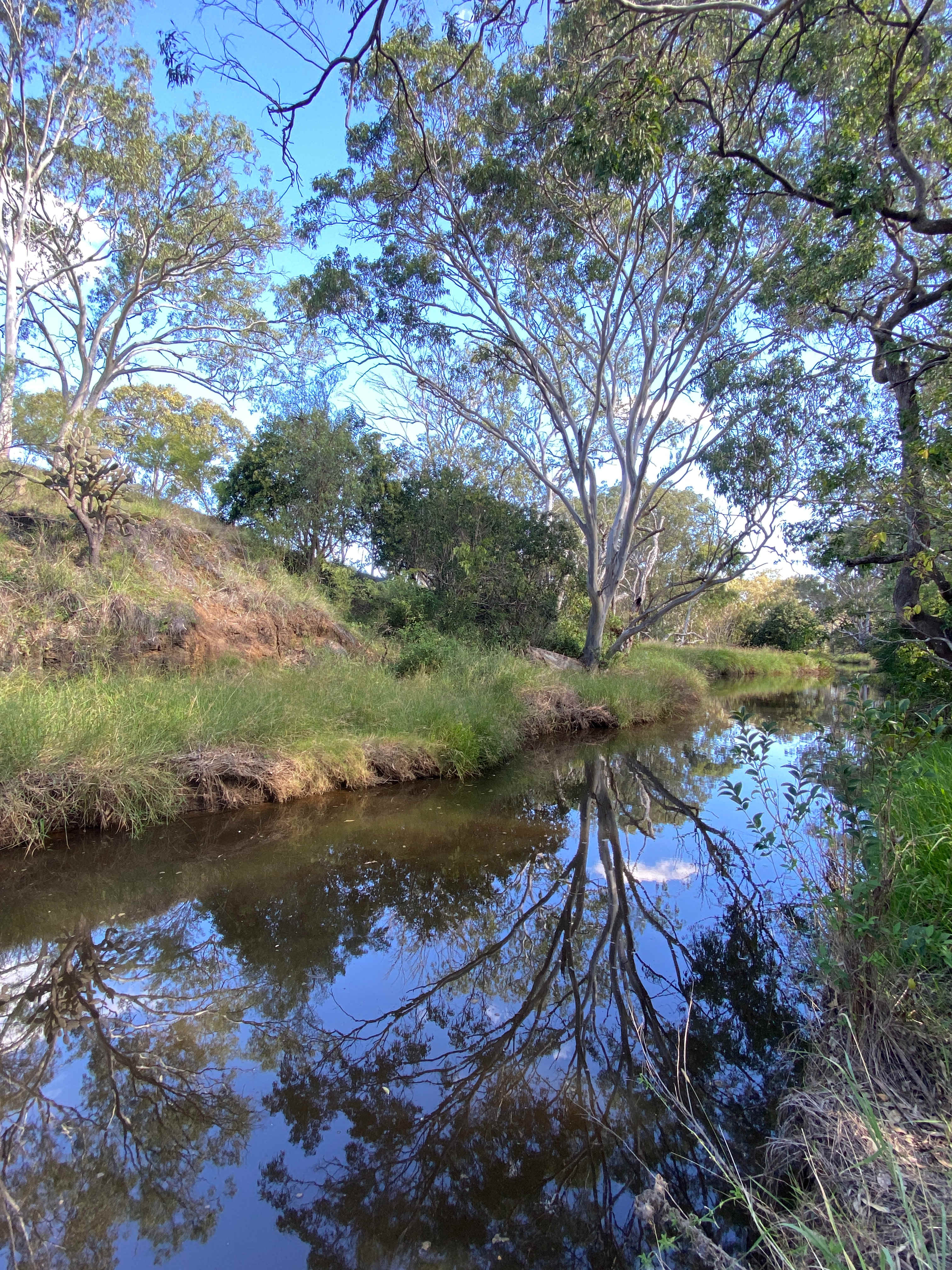 Seasonal fresh water creek. Perfect to teach the kids how to catch yabbies, spot turtles or take a dip and escape the heat. 