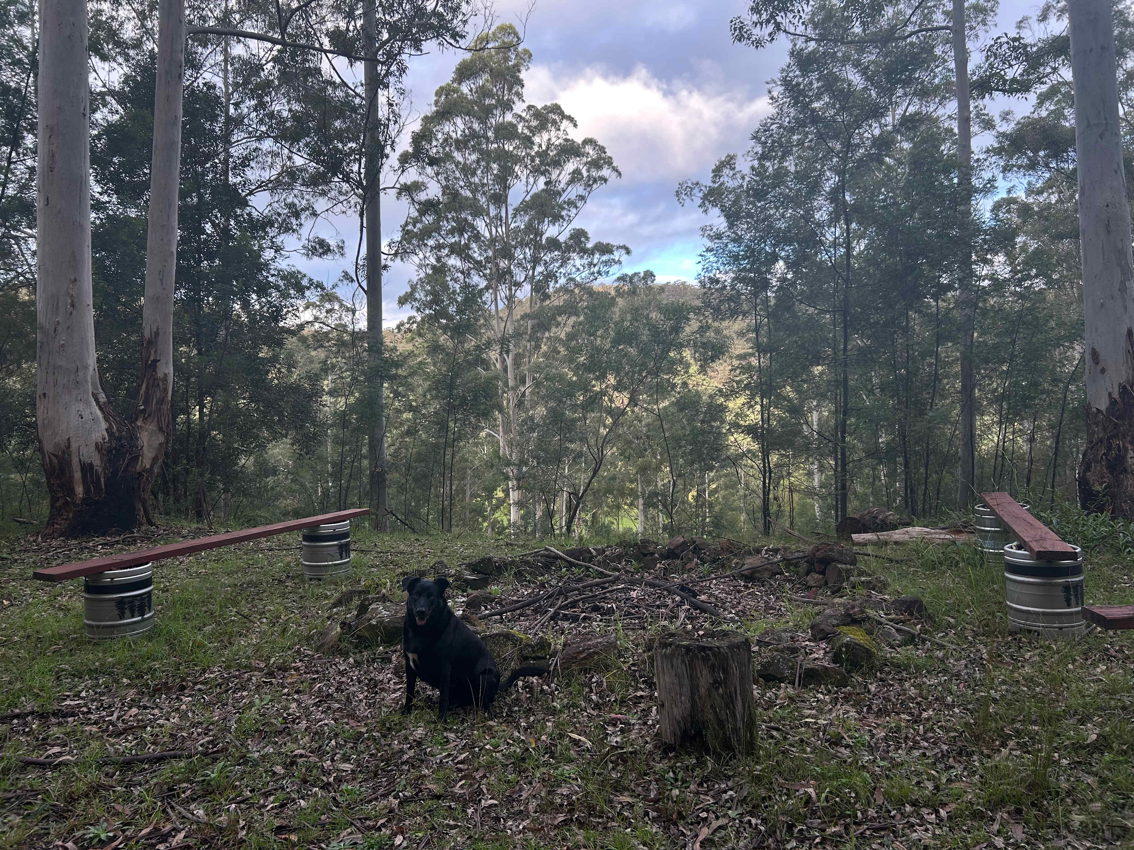 Tanglewood Bush Camp - Putty NSW
