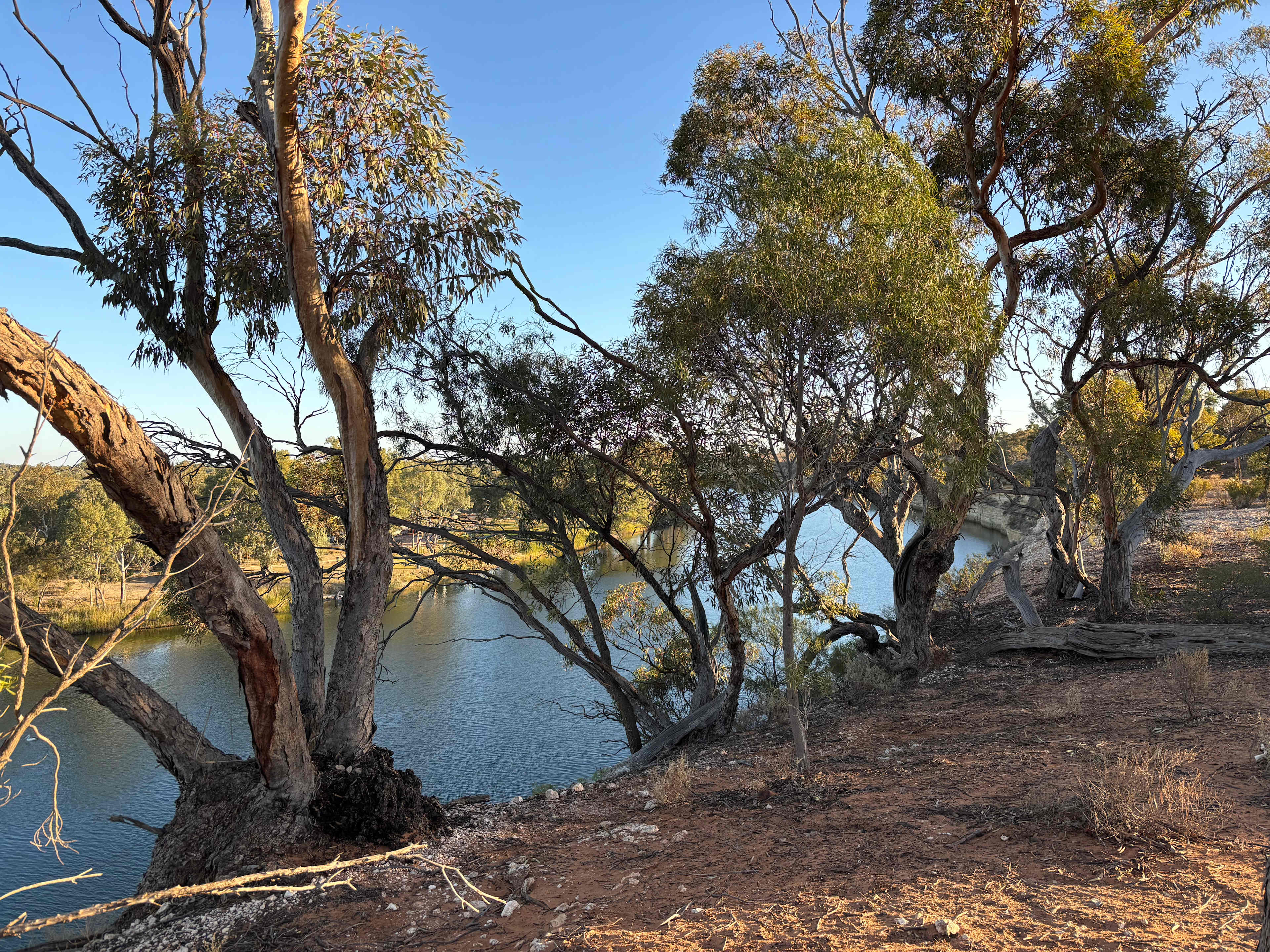 View to reserve opposite 