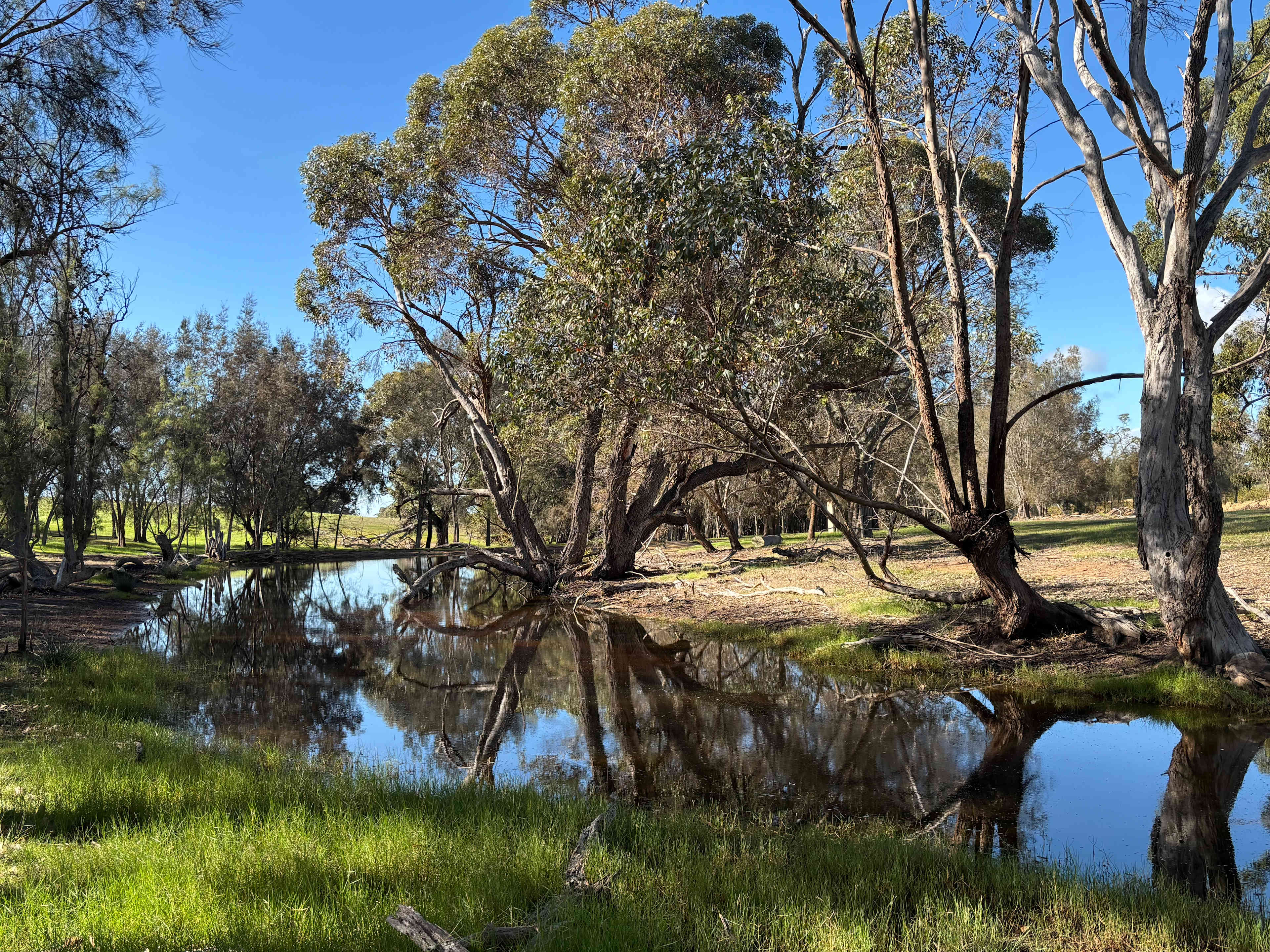Mondurup Escape - Kendenup