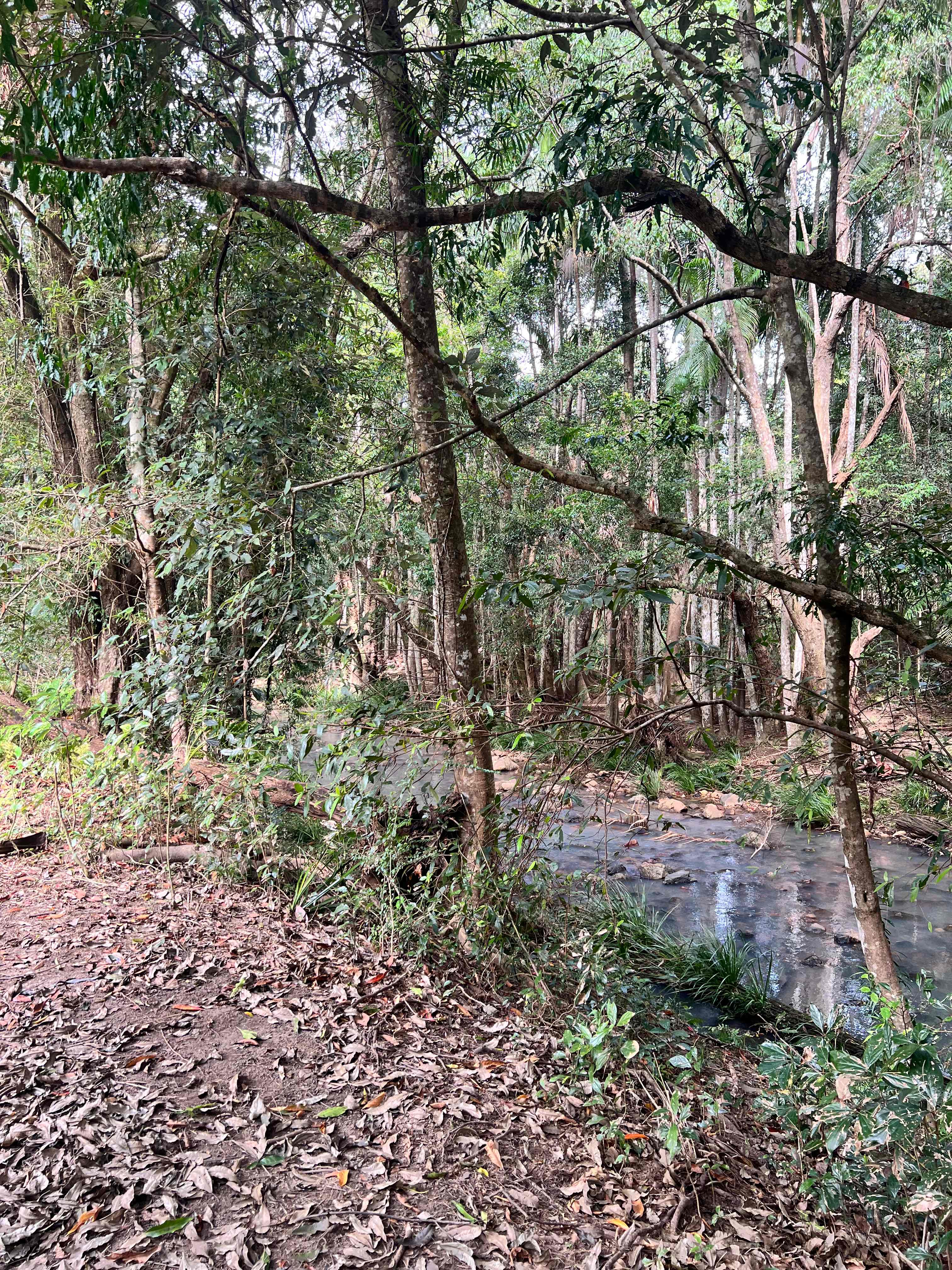 Browns Creek Camping