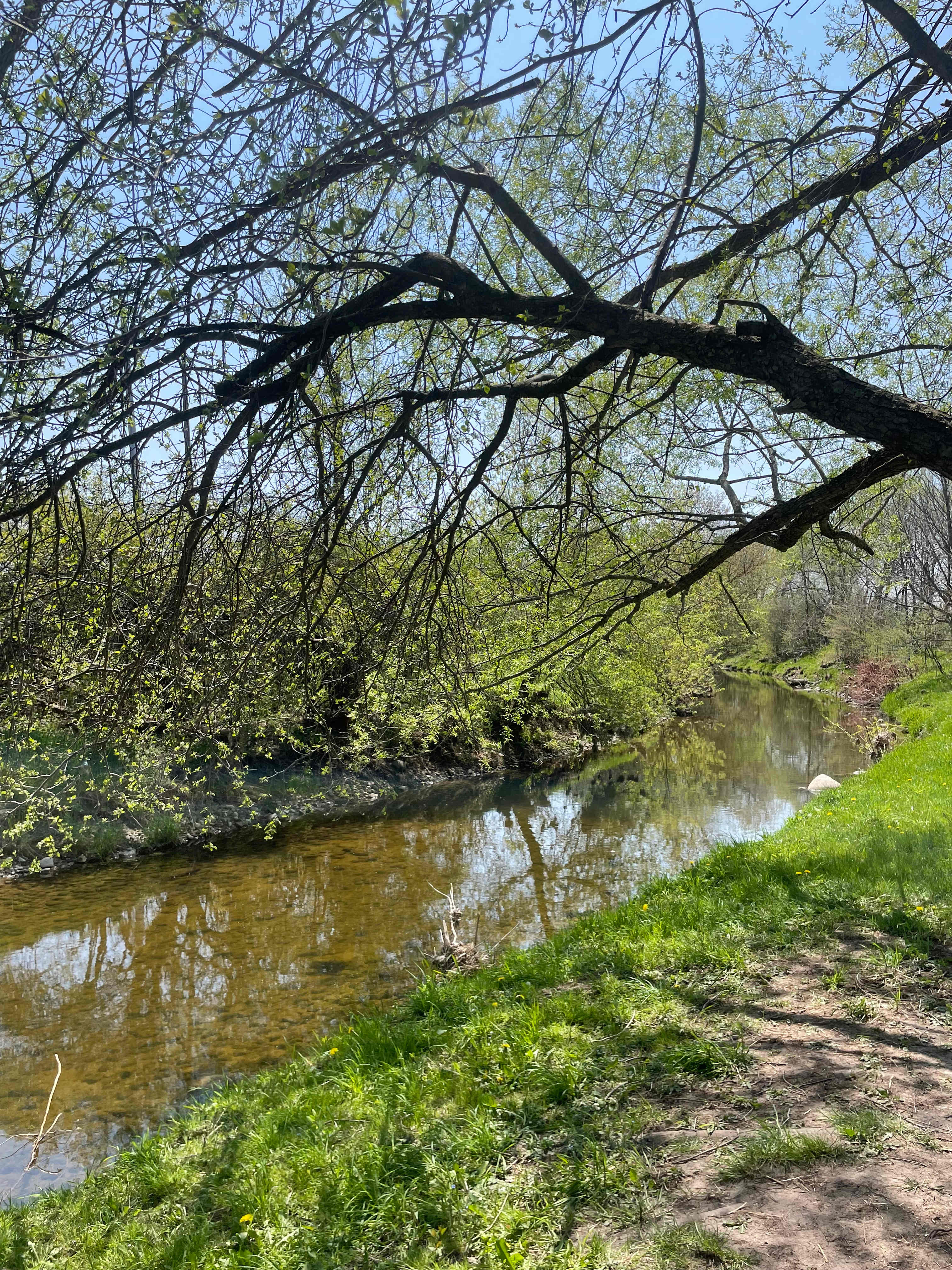 creek beside the hideaway site
