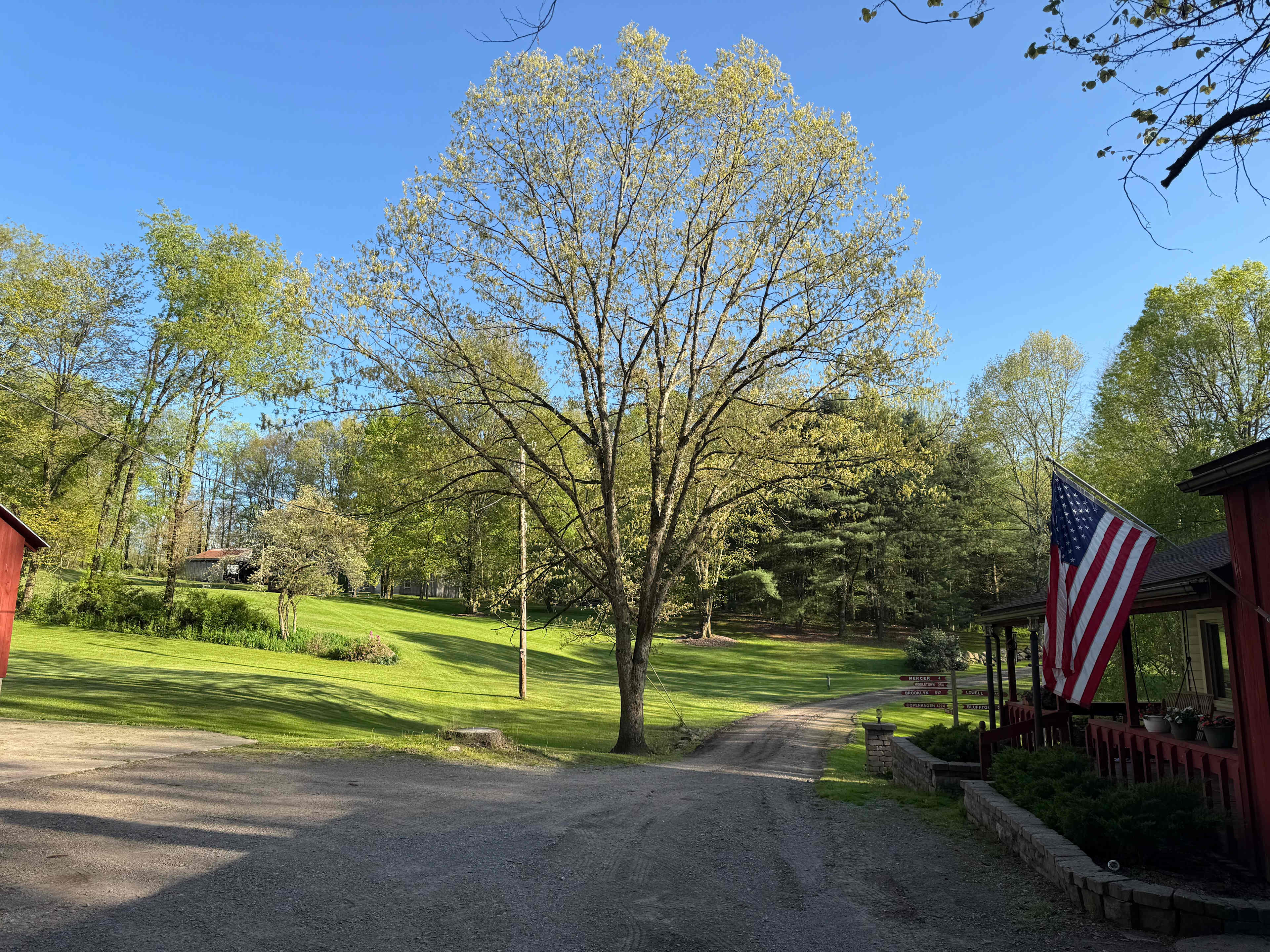 Bill S. and Nancy's property