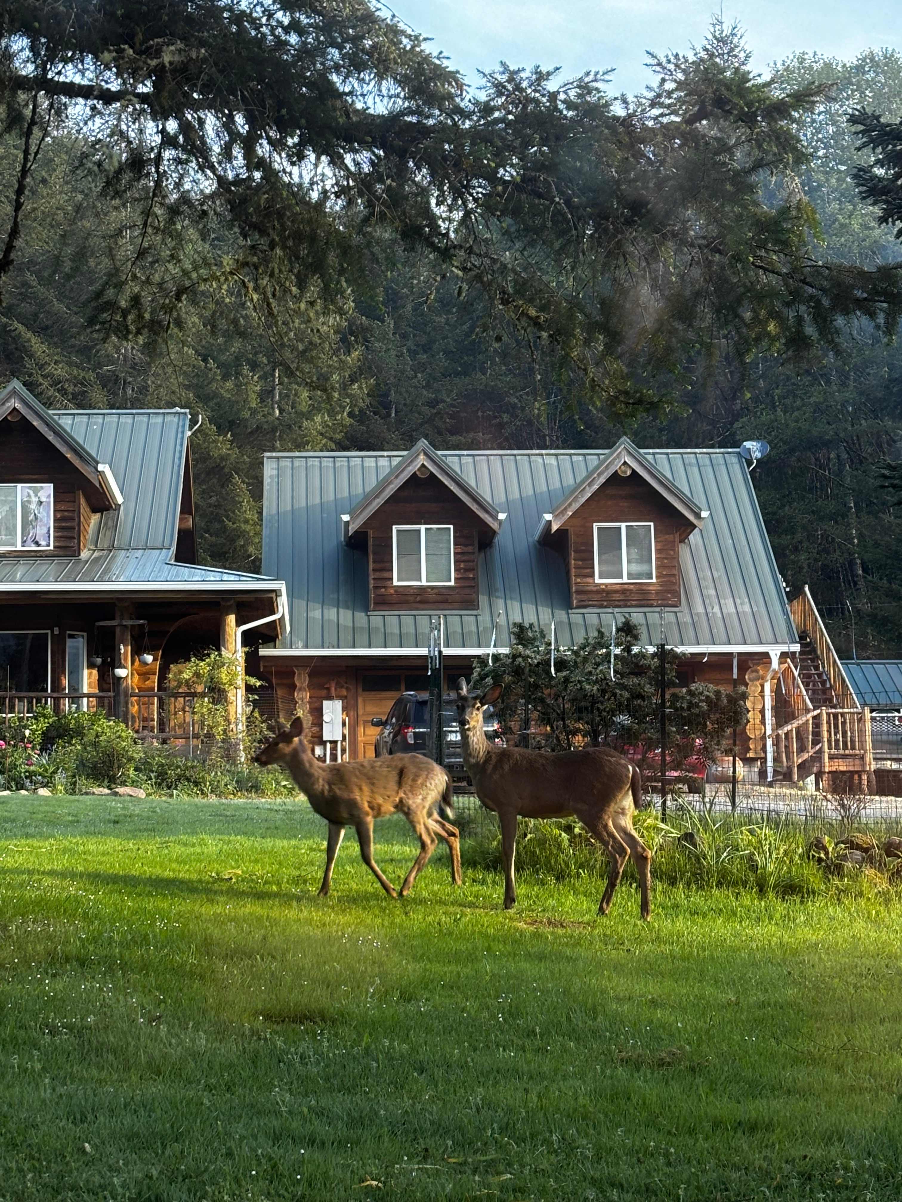 Powder Creek Campground