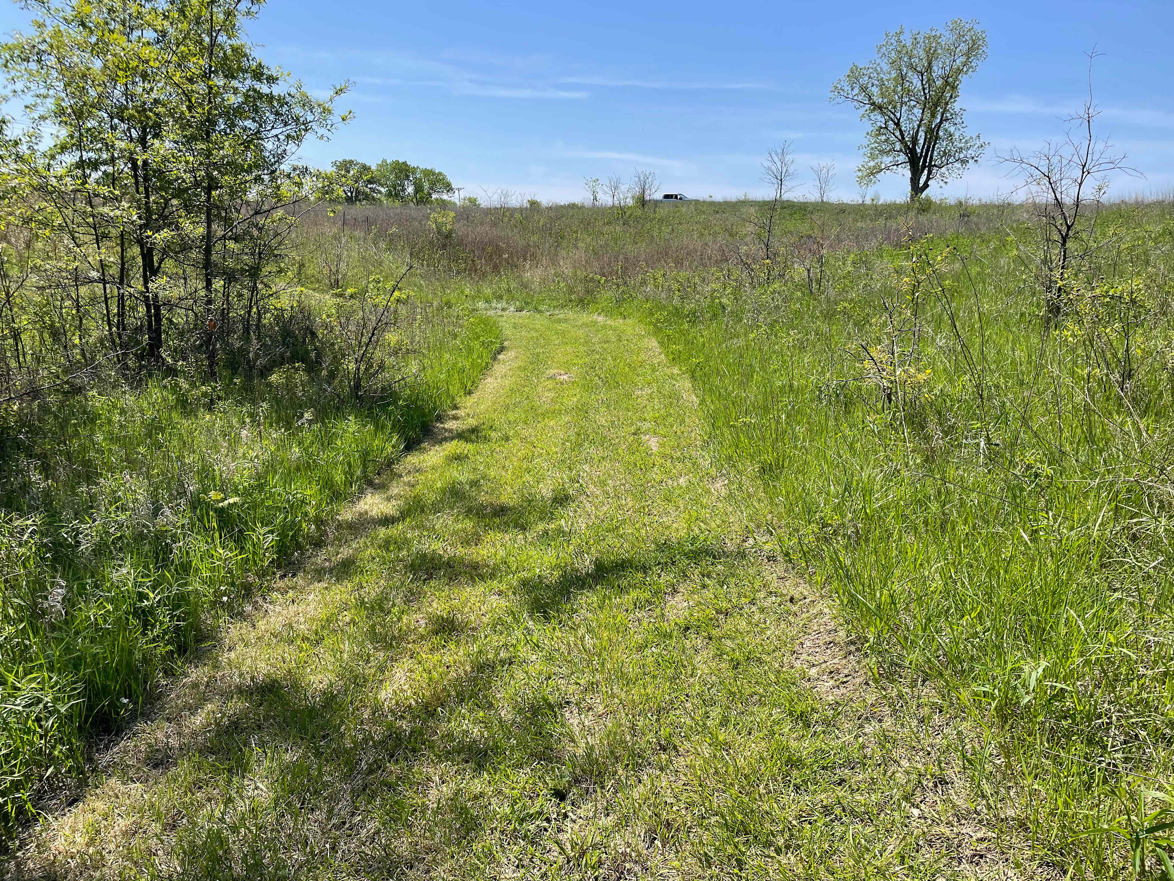 Bell Acres