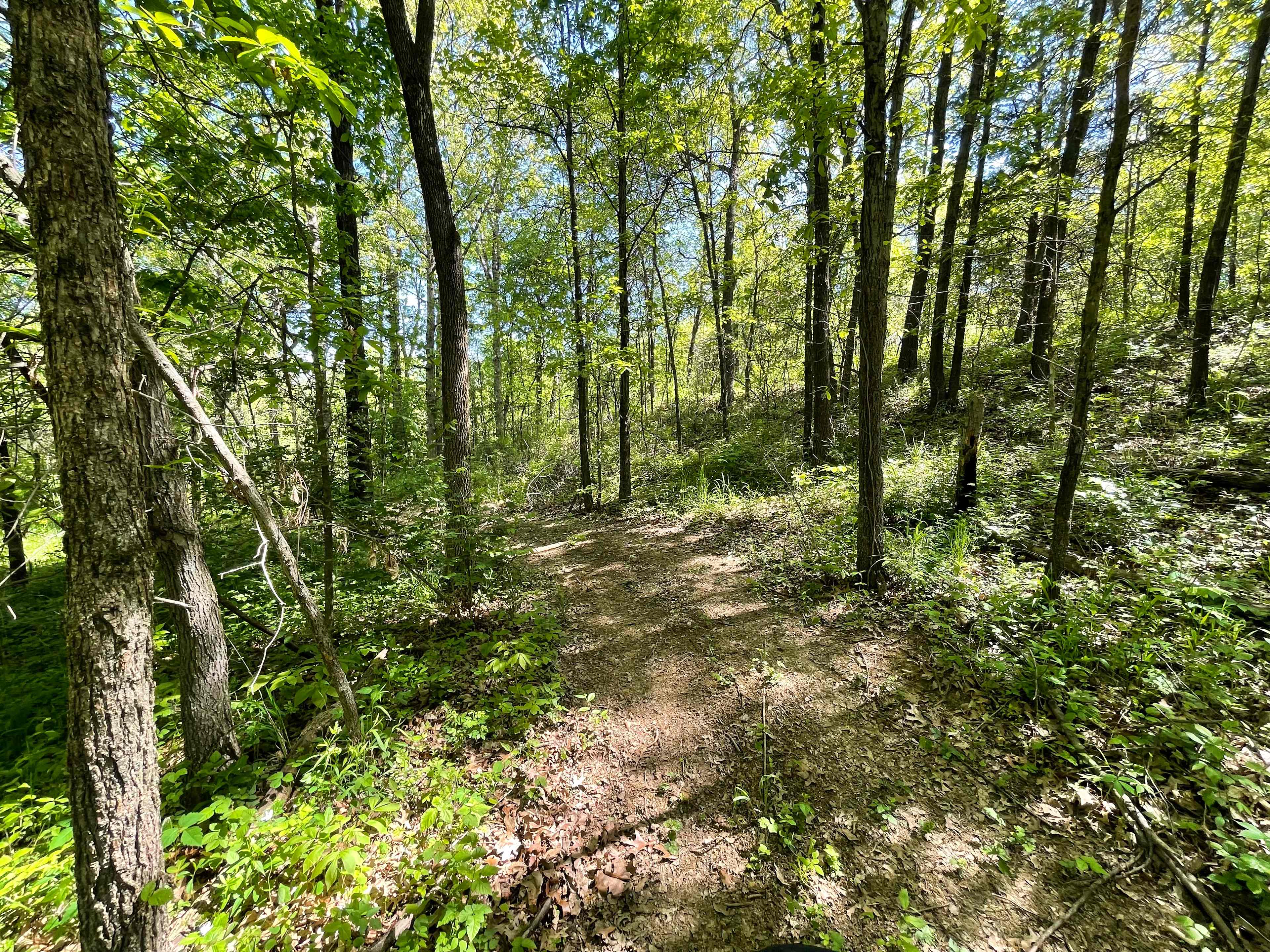 Bell Acres