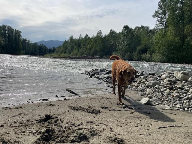 Cascade River Retreat