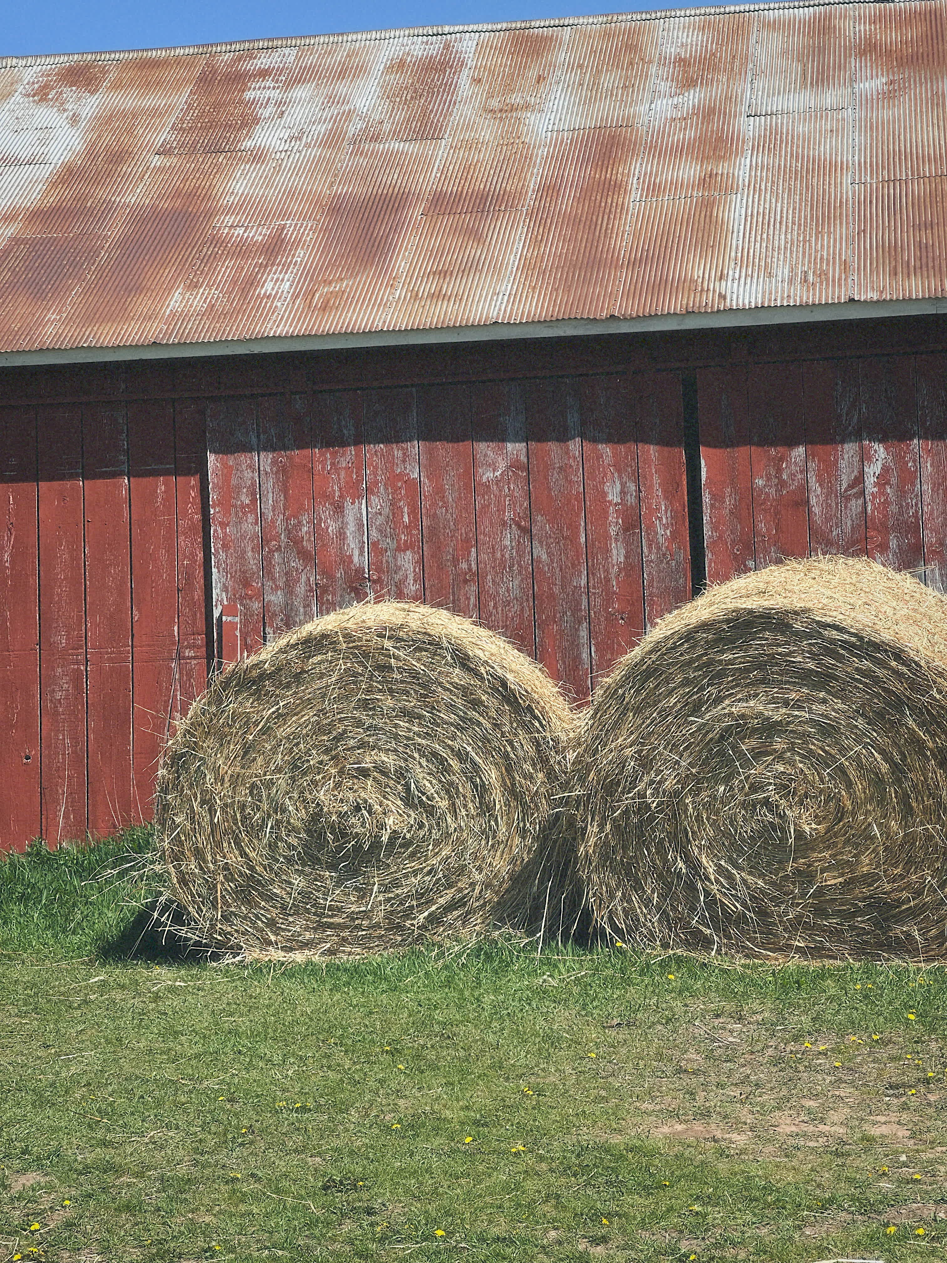 The G Farm