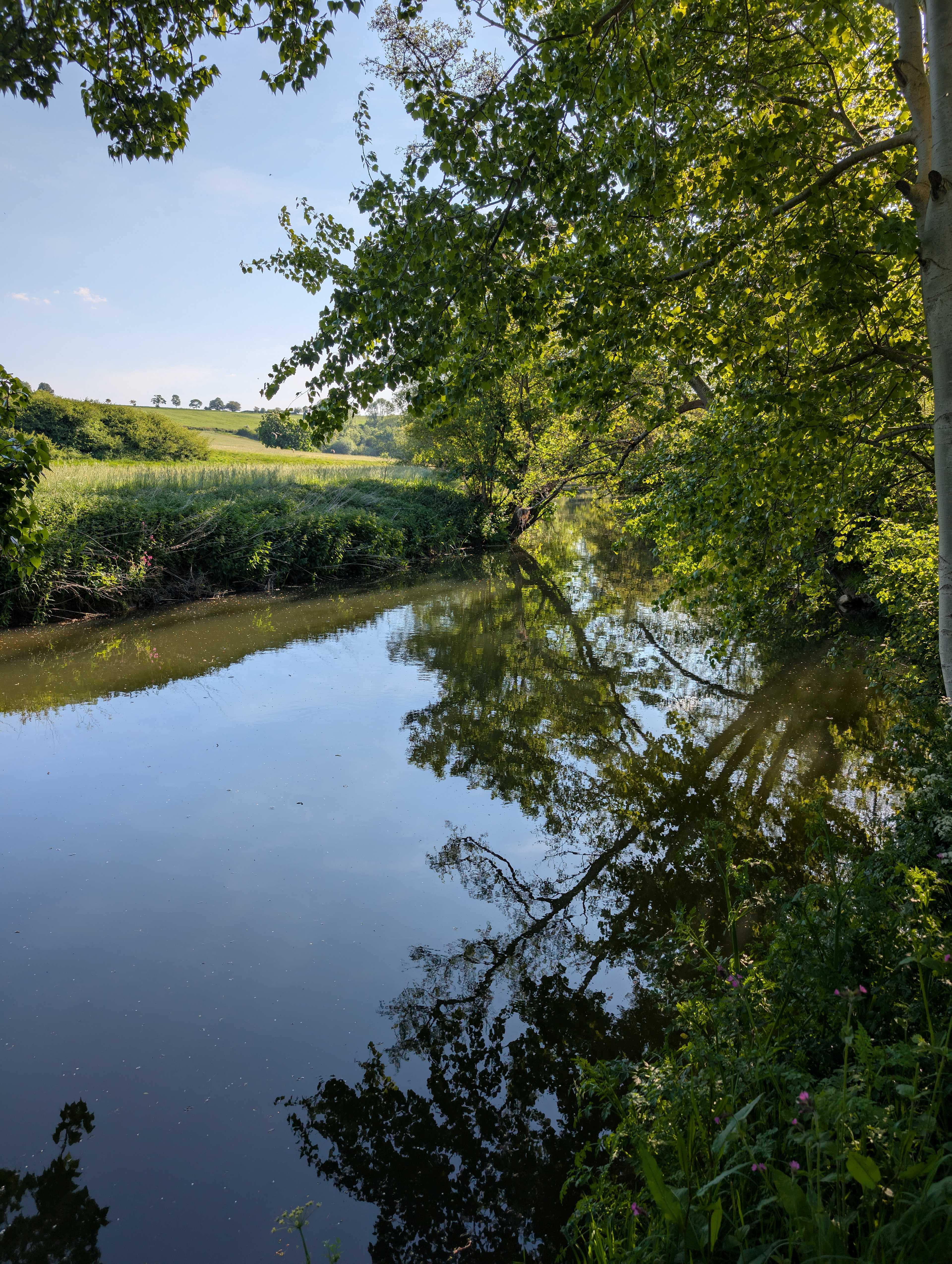 Stowford Manor Farm Campsite