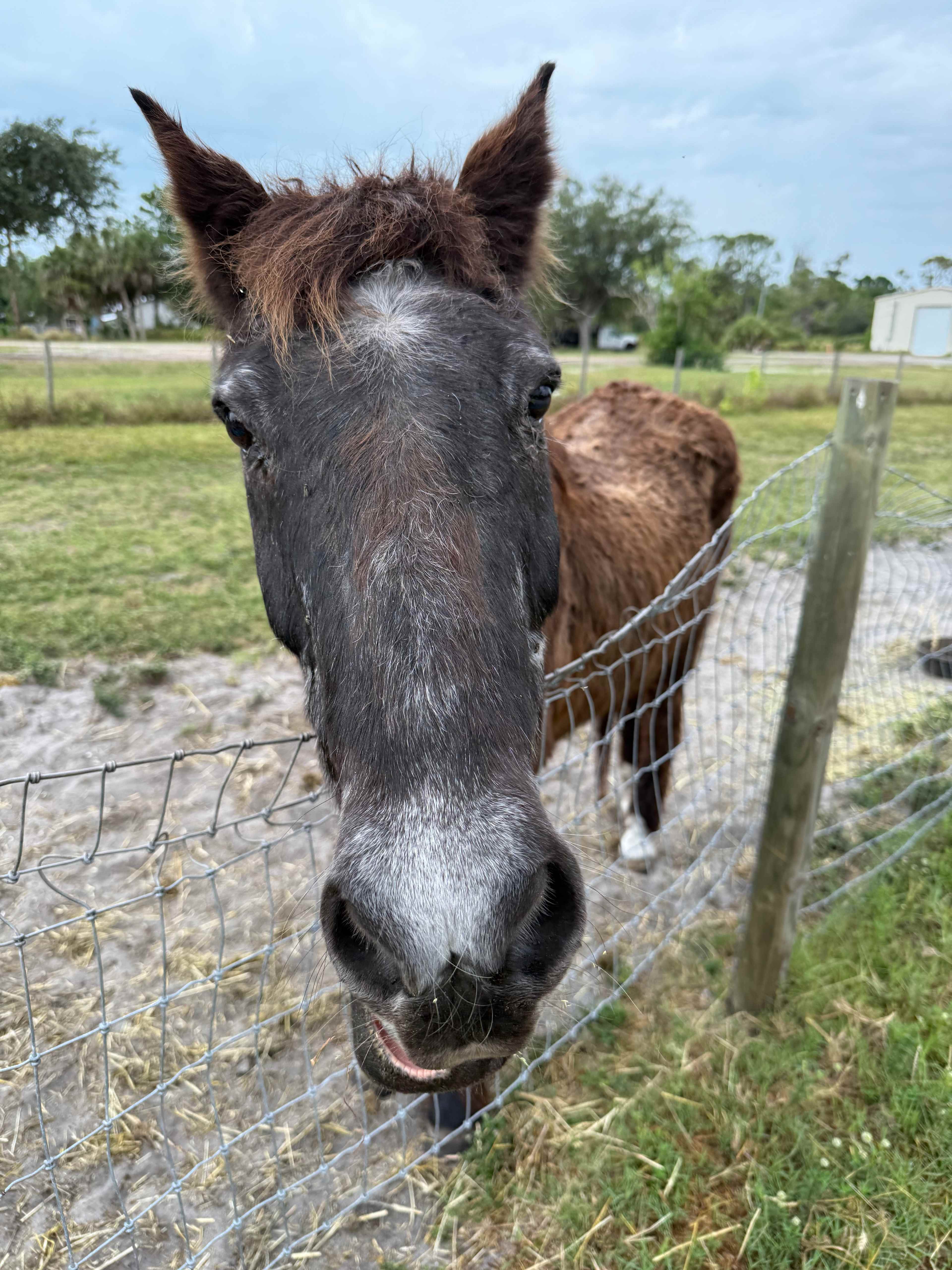 Bell Oaks Ranch 5 min from Beach