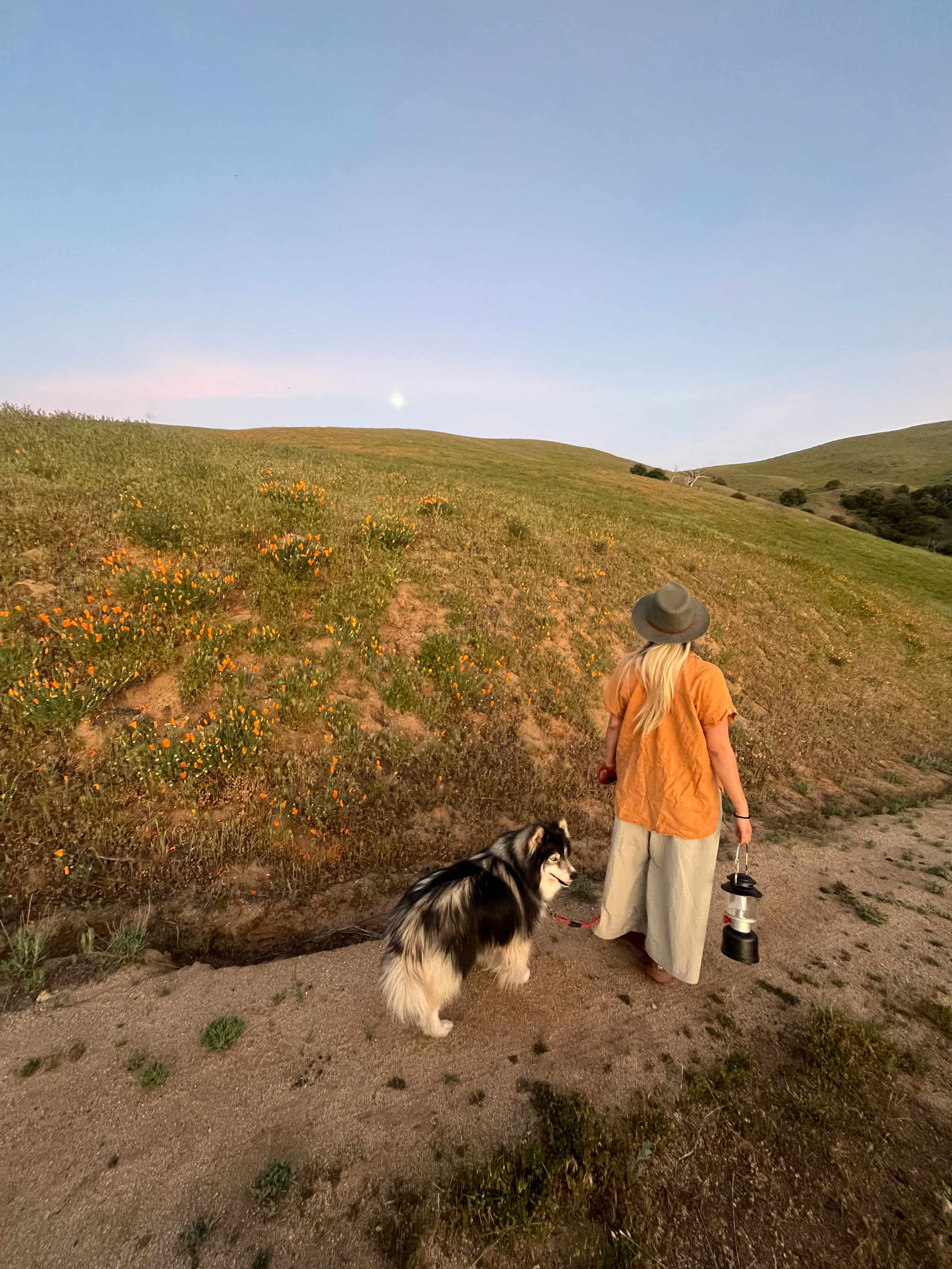 Moon rise on the canyon trail! 