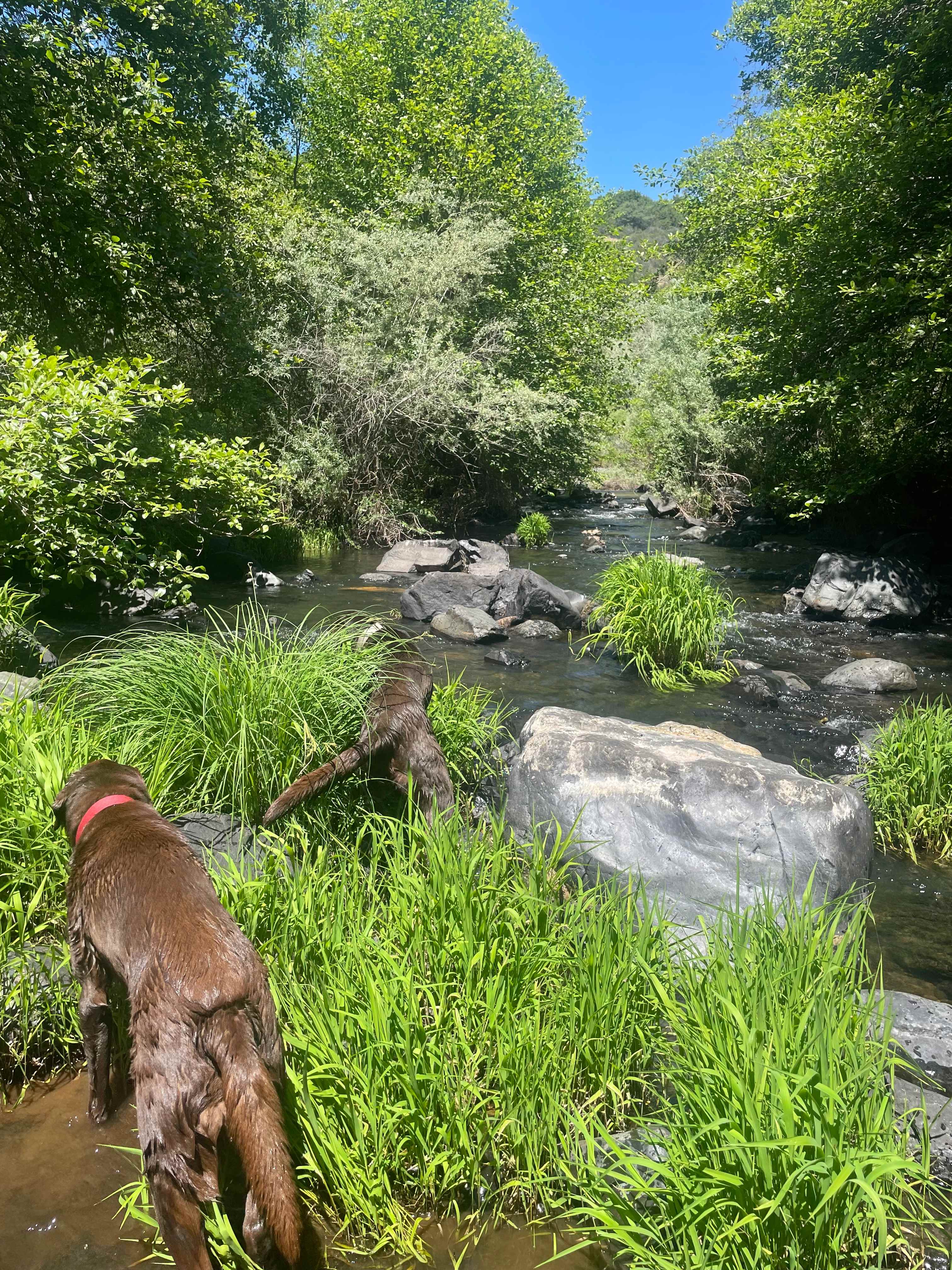 Perfect Getaway with Private Creek