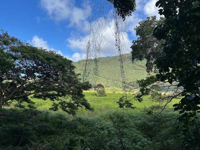 Hike Up (and down!)