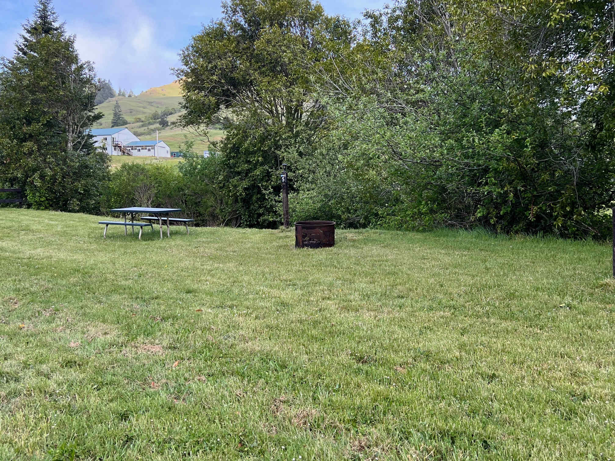 Picture of the site