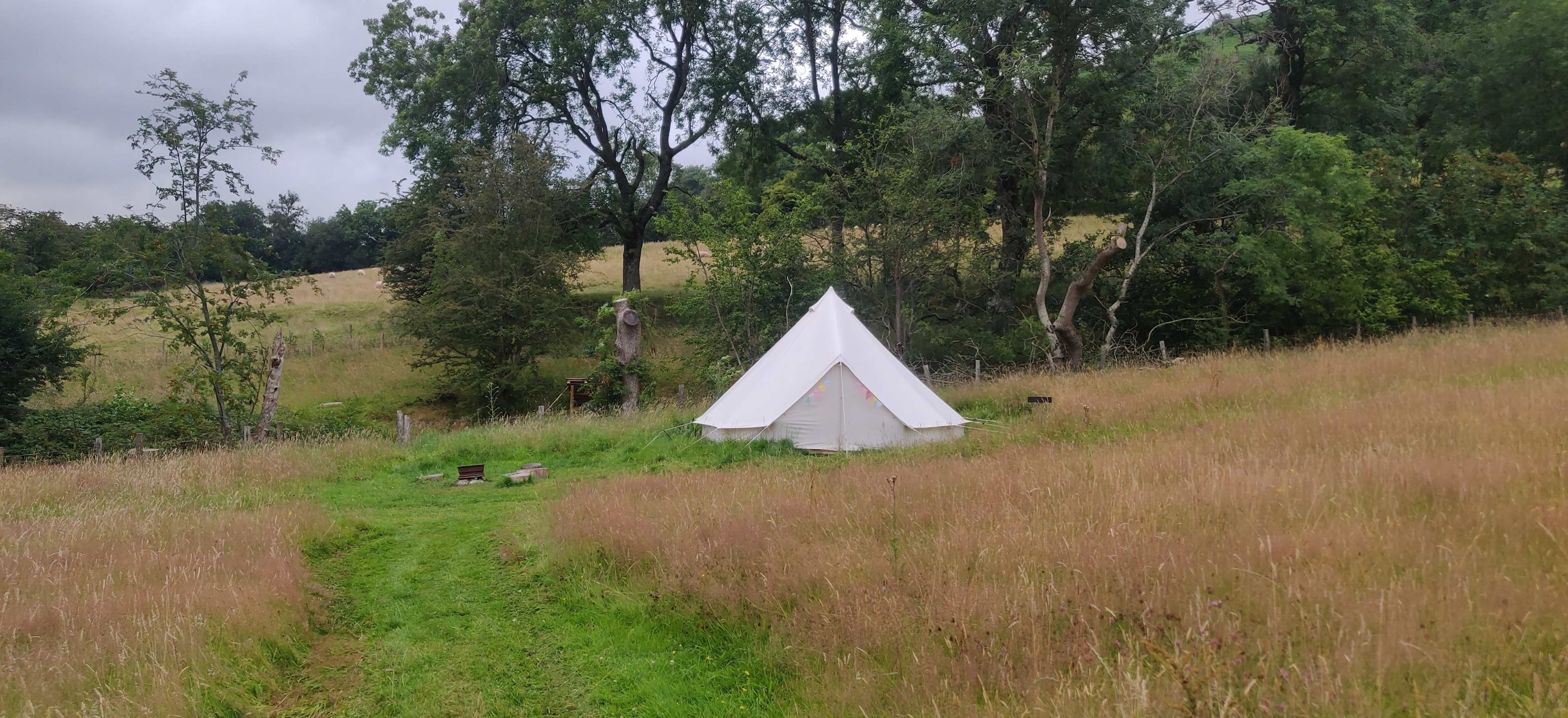 Cwmffrwd Farm Campsite