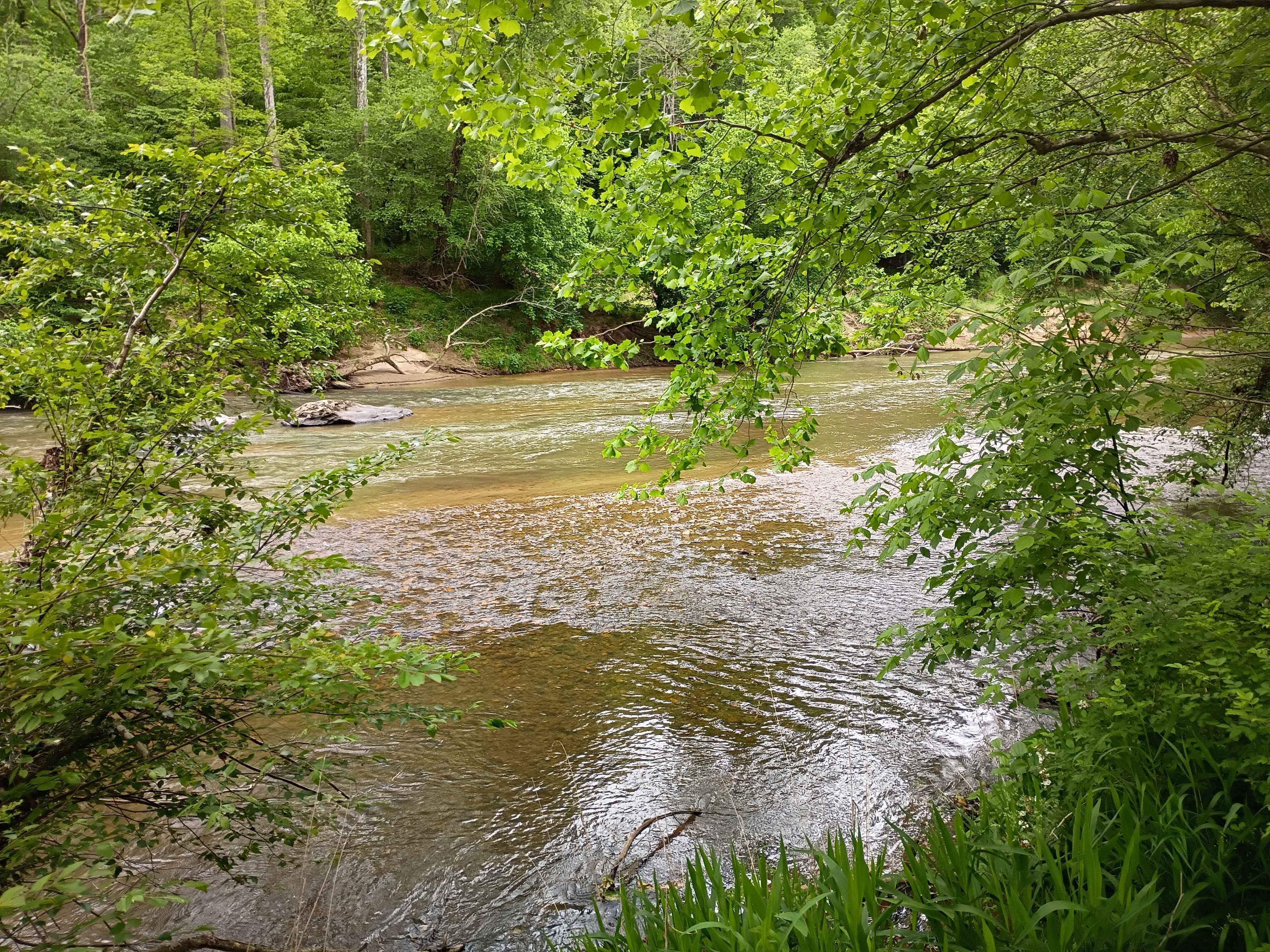 Carl’s Campsites - Riverside