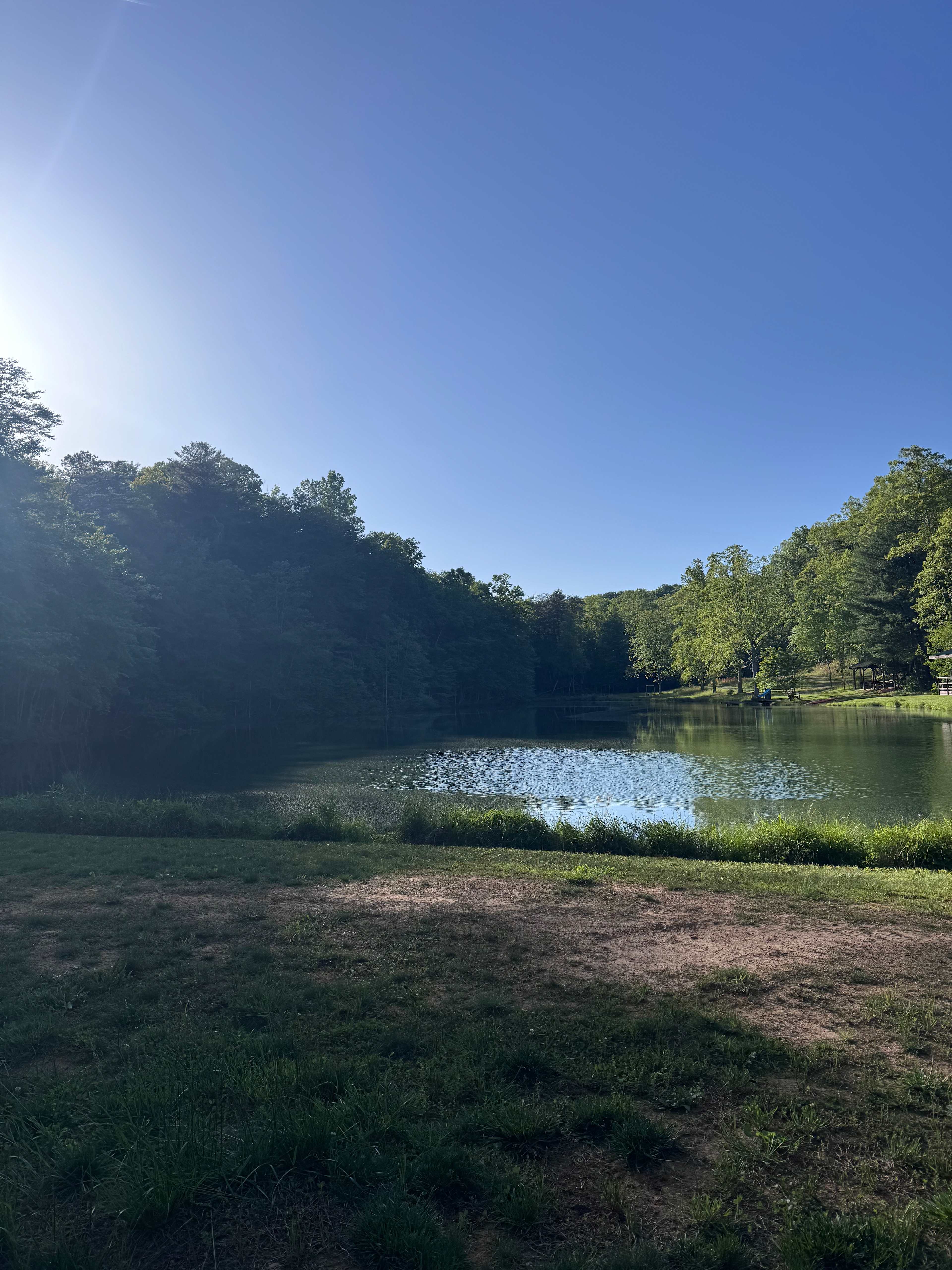 Wild Toad Lake