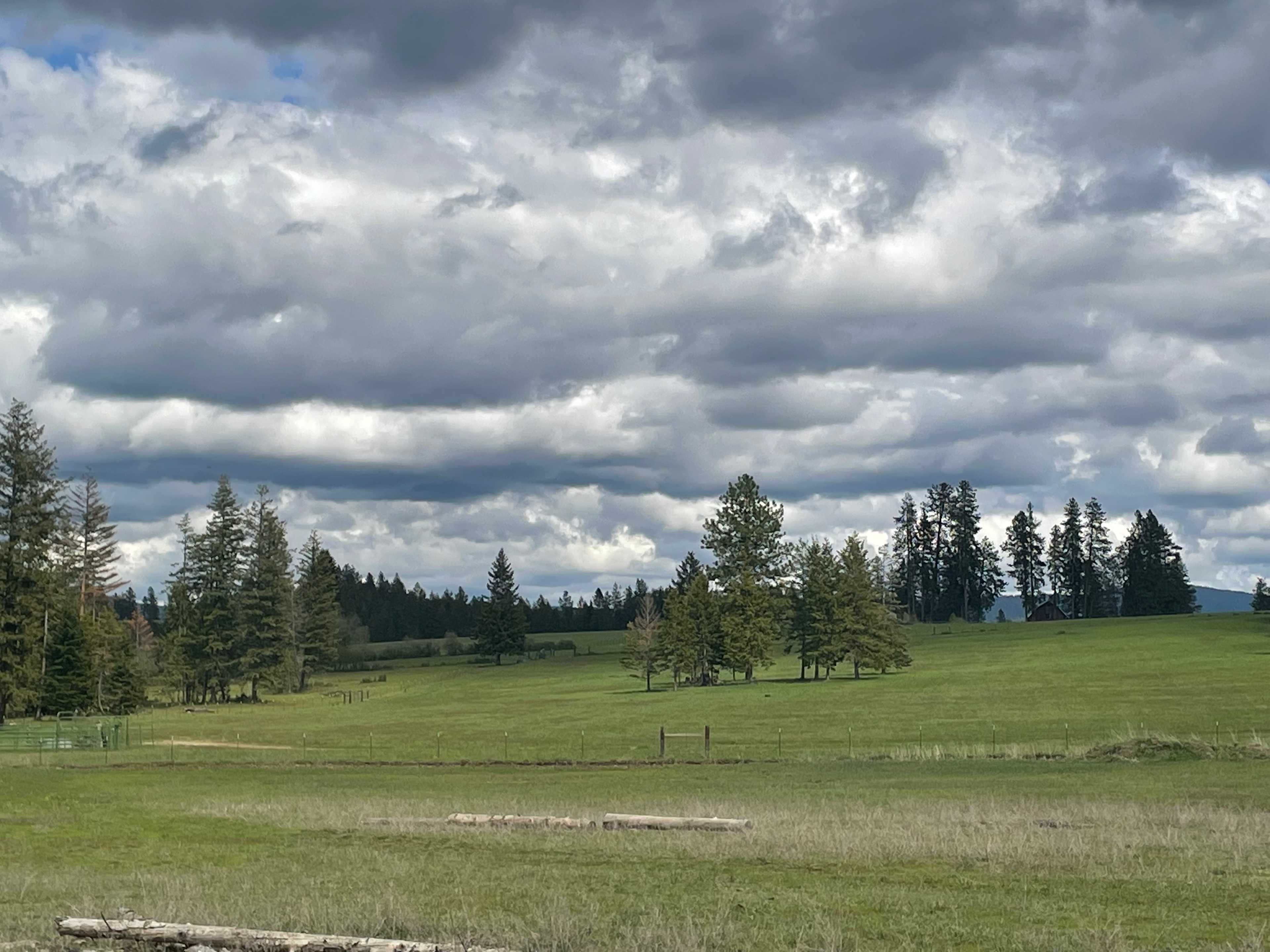 Rimrock Gardens